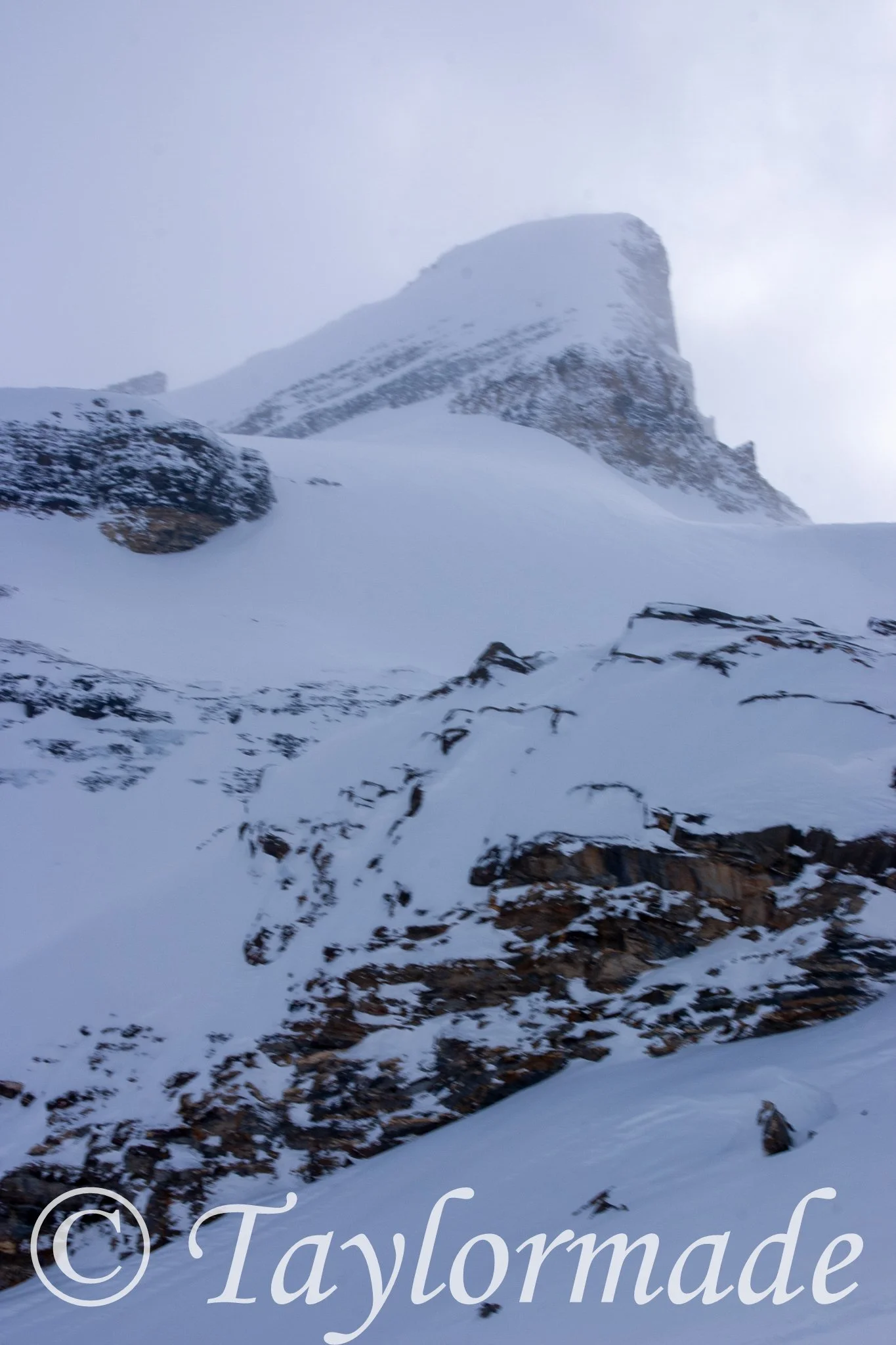 CRW_2419.jpg