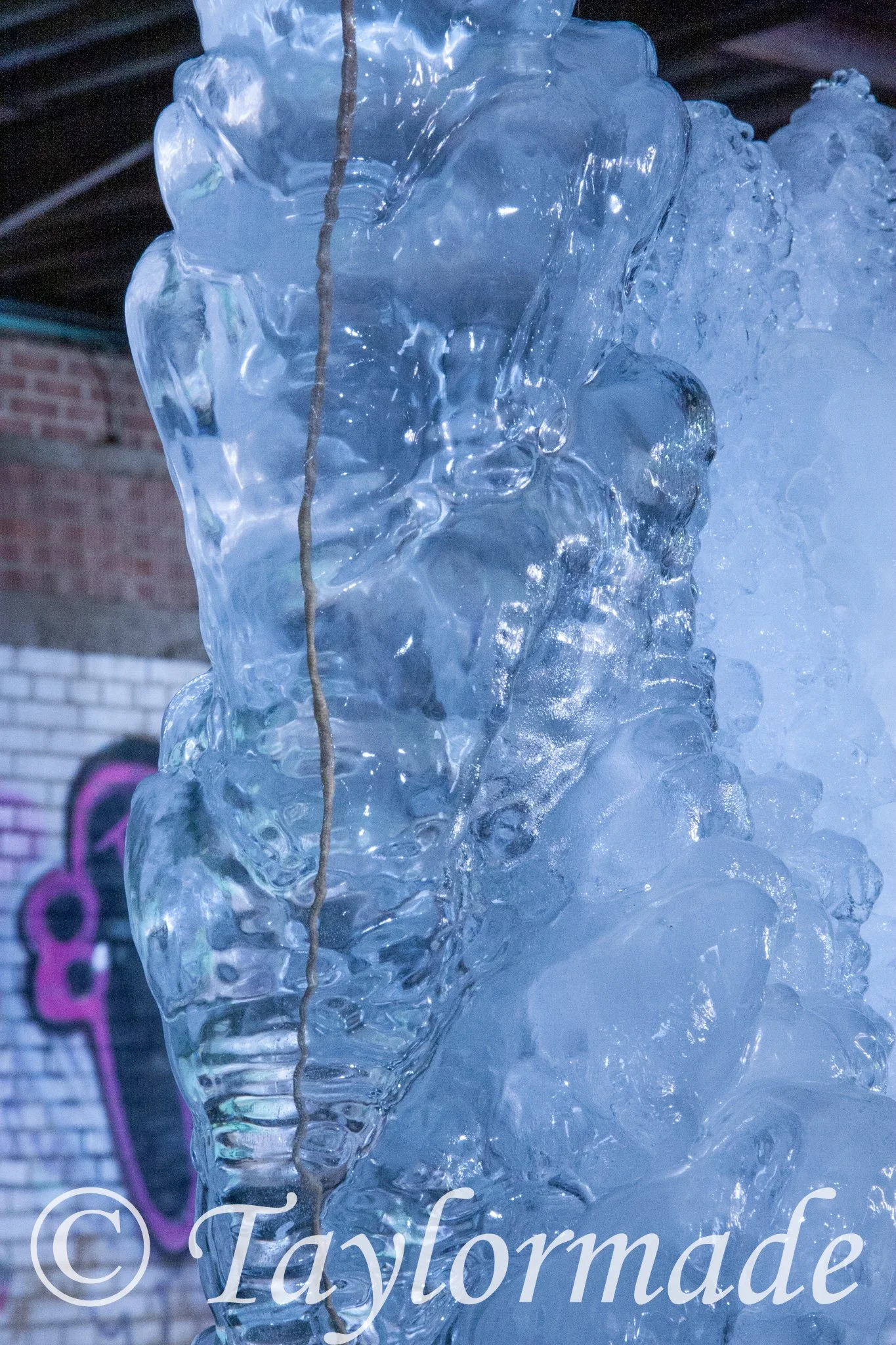 _mg_2348.jpg
