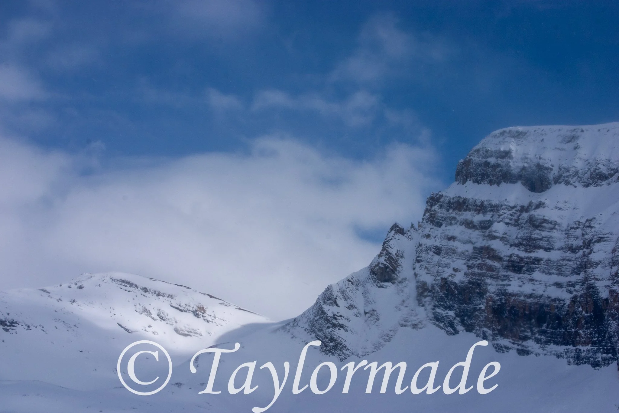 CRW_2411.jpg