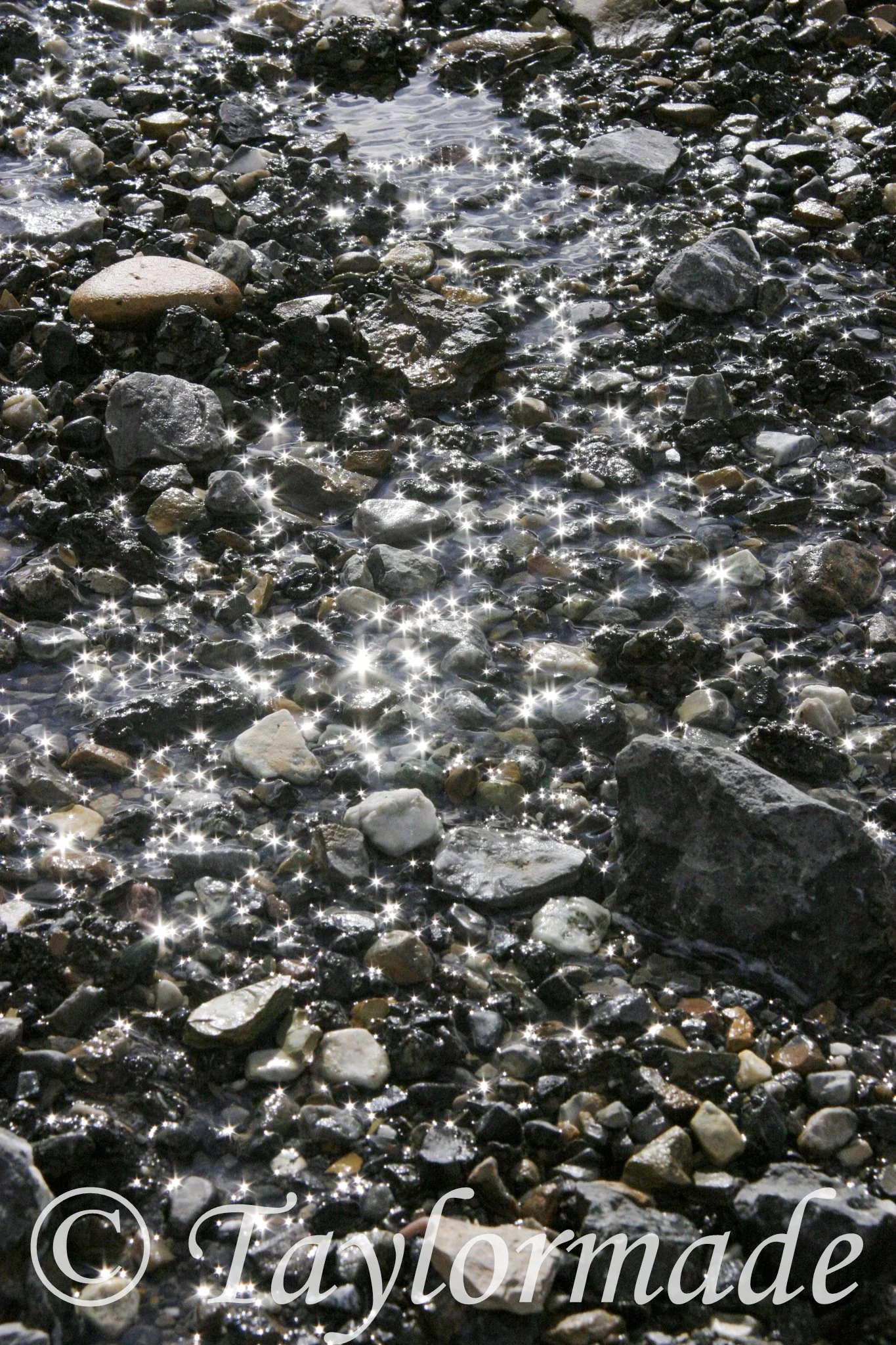 CRW_3041_RT8.jpg