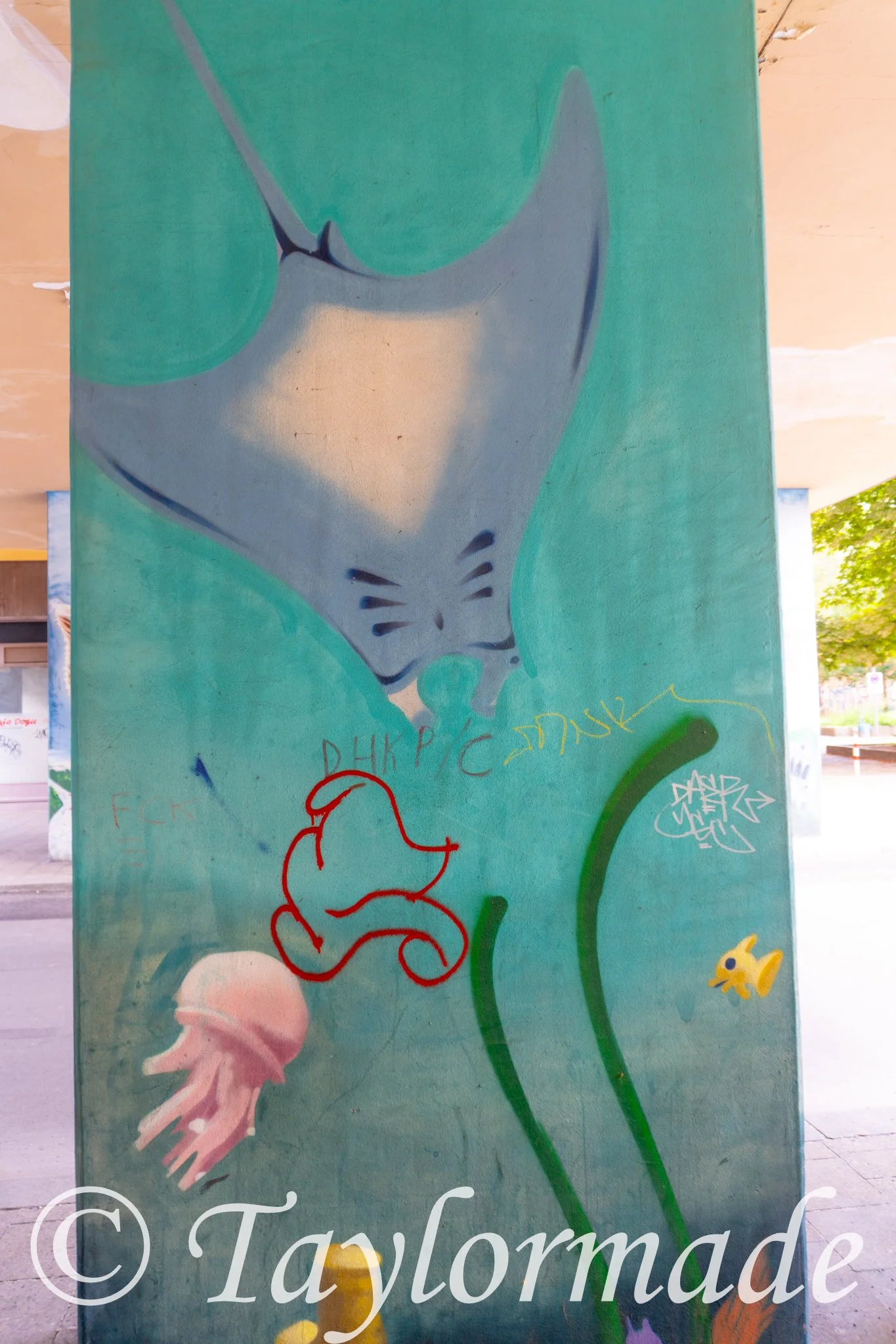 DSC01104.jpg