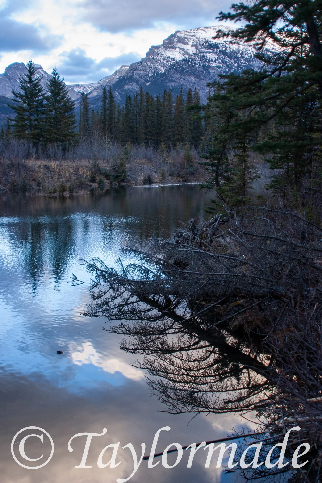 CRW_1534.jpg