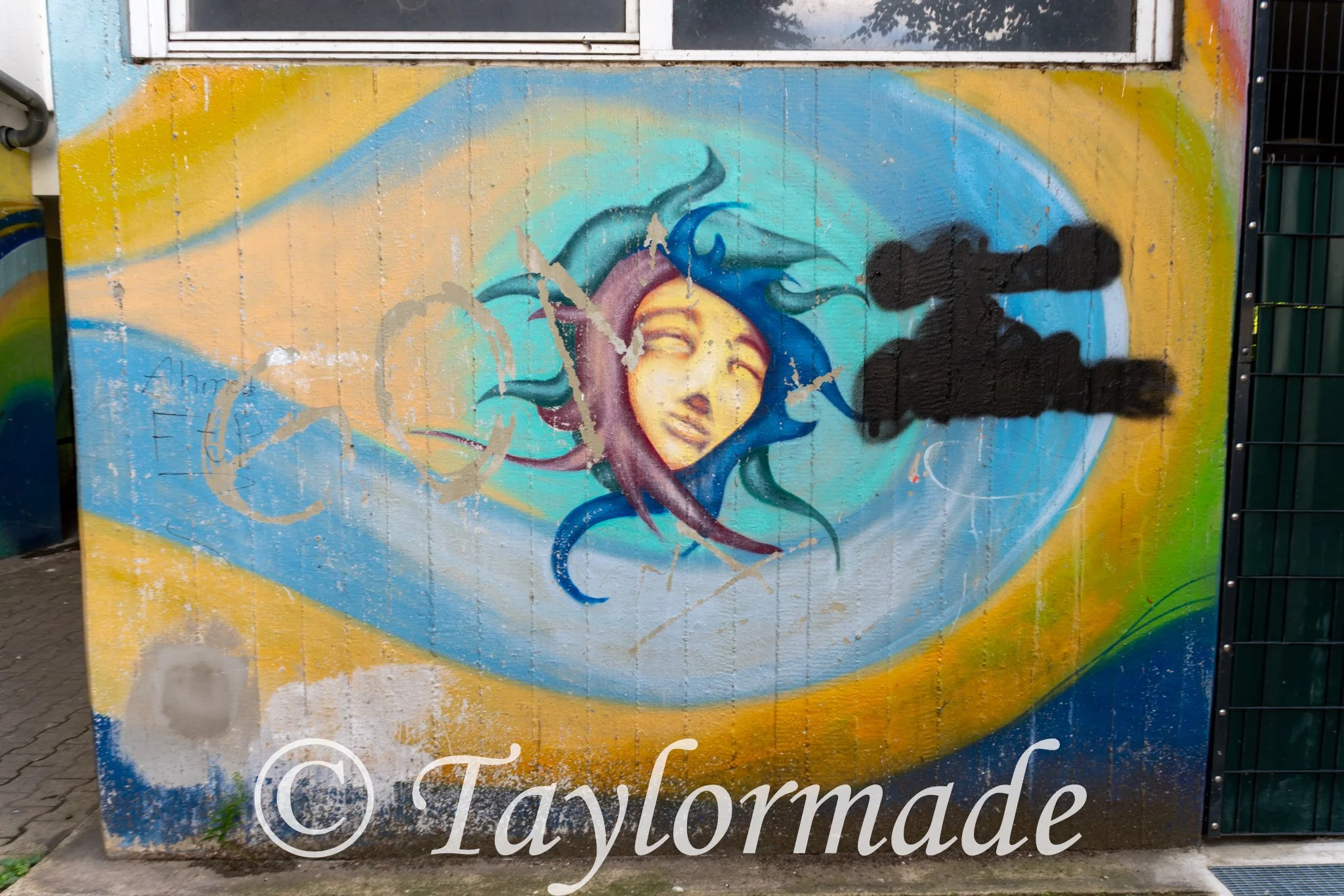 DSC01191.jpg