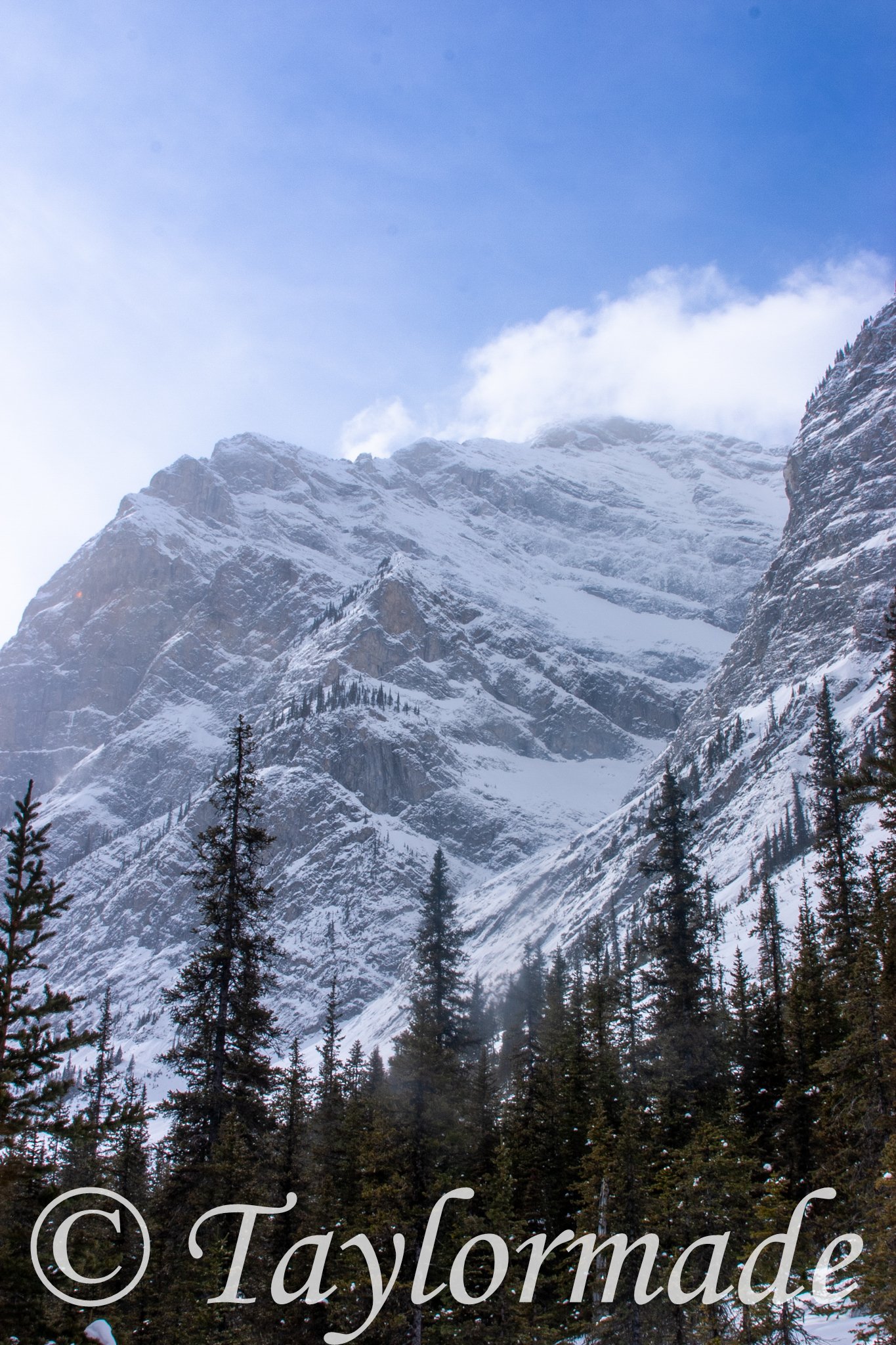 CRW_2326.jpg