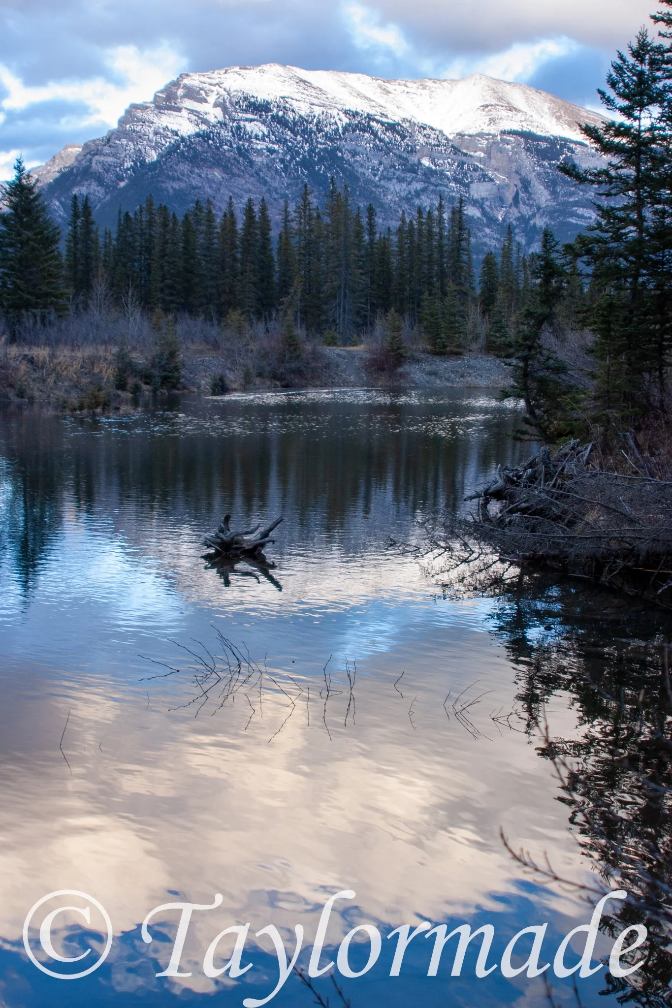 CRW_1533.jpg
