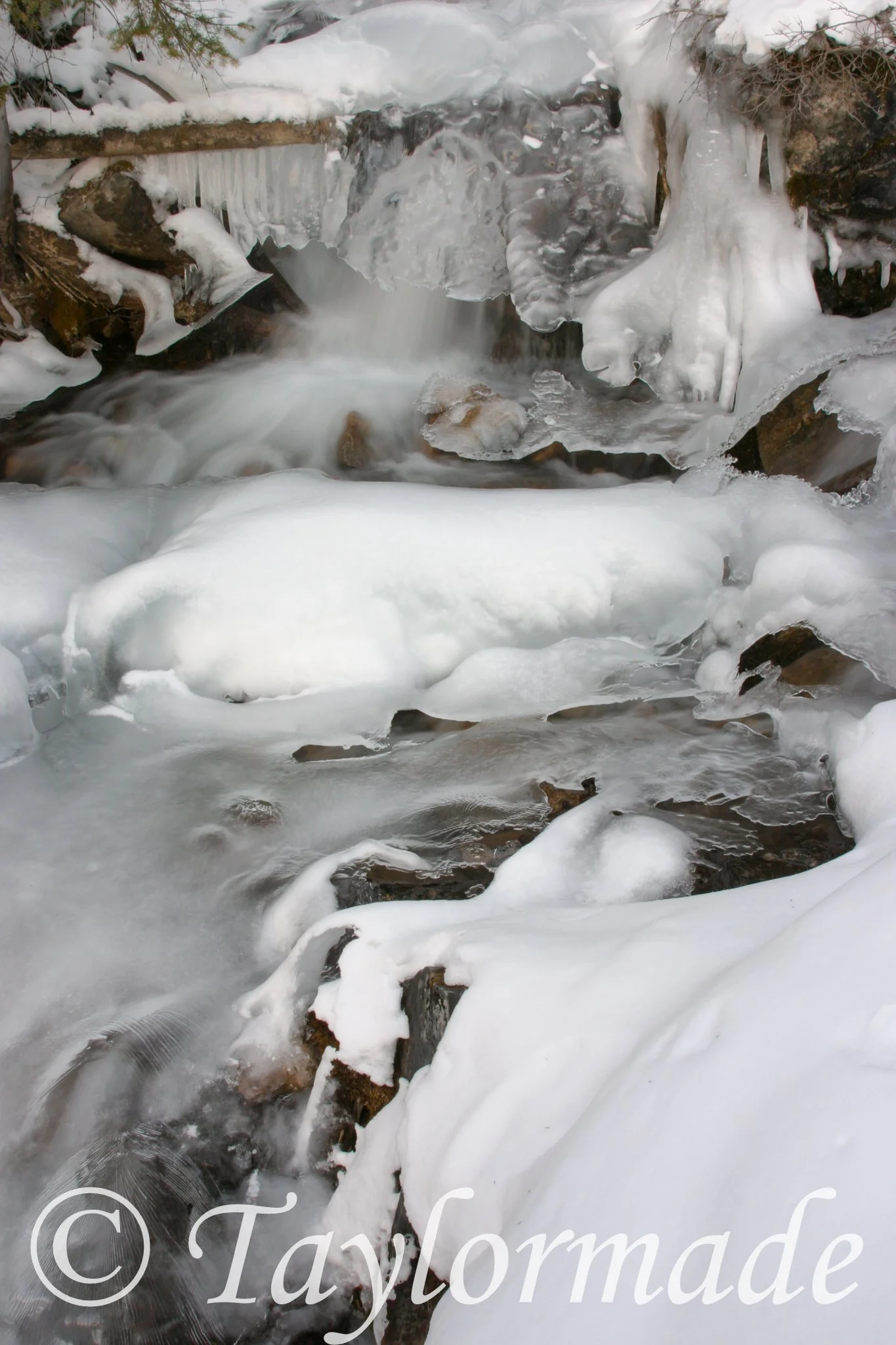 crw_1737-200003_RT16.jpg