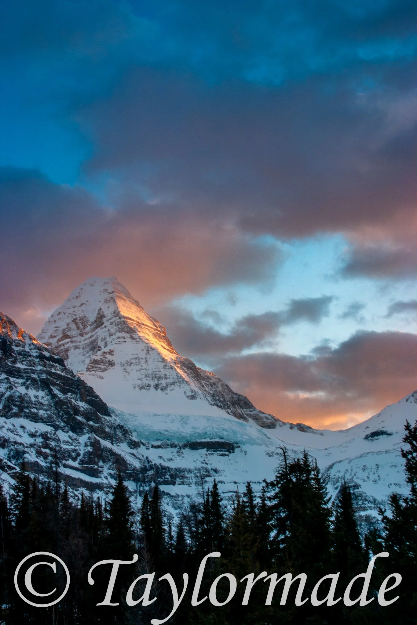 CRW_2764.jpg