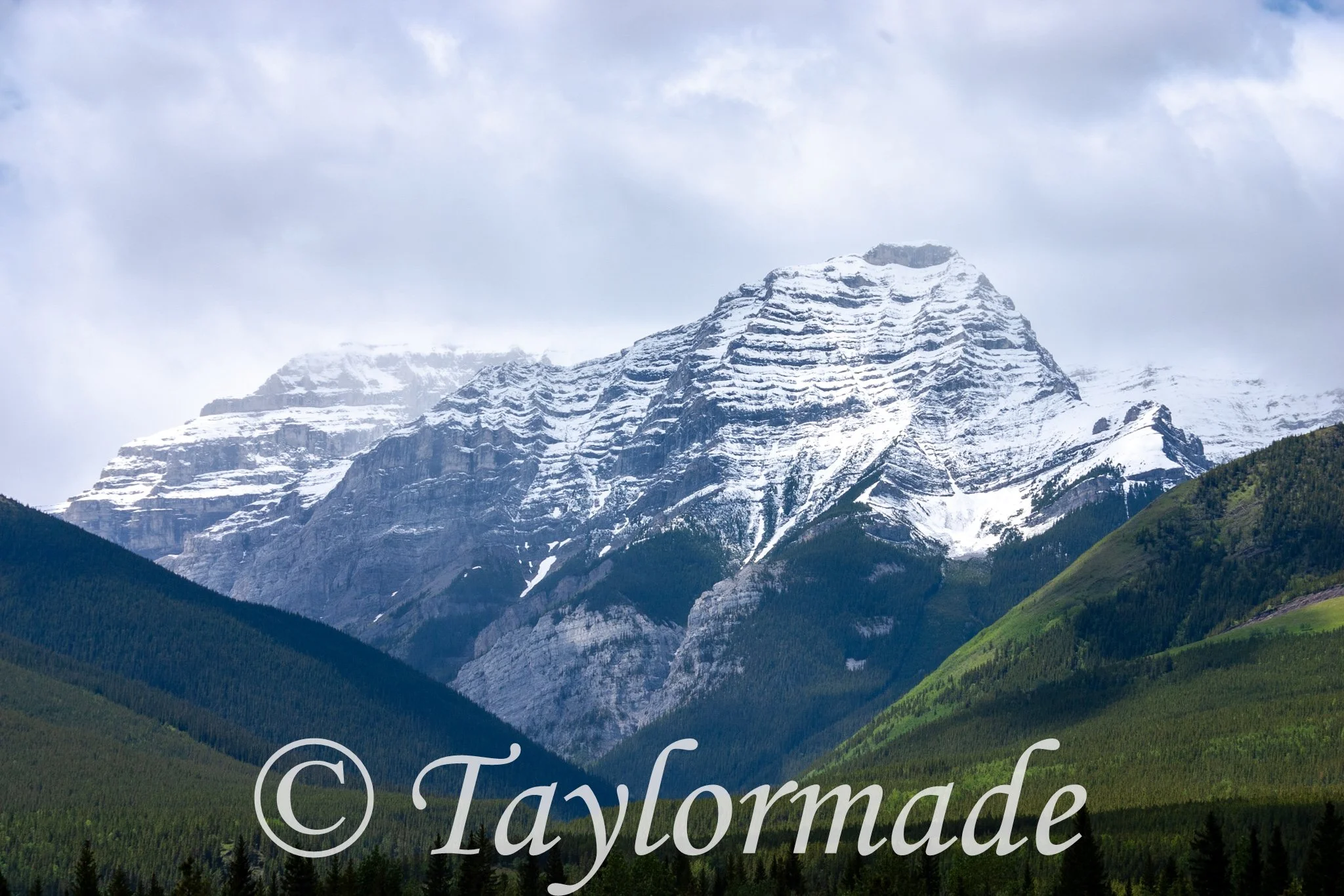 CRW_4350.jpg