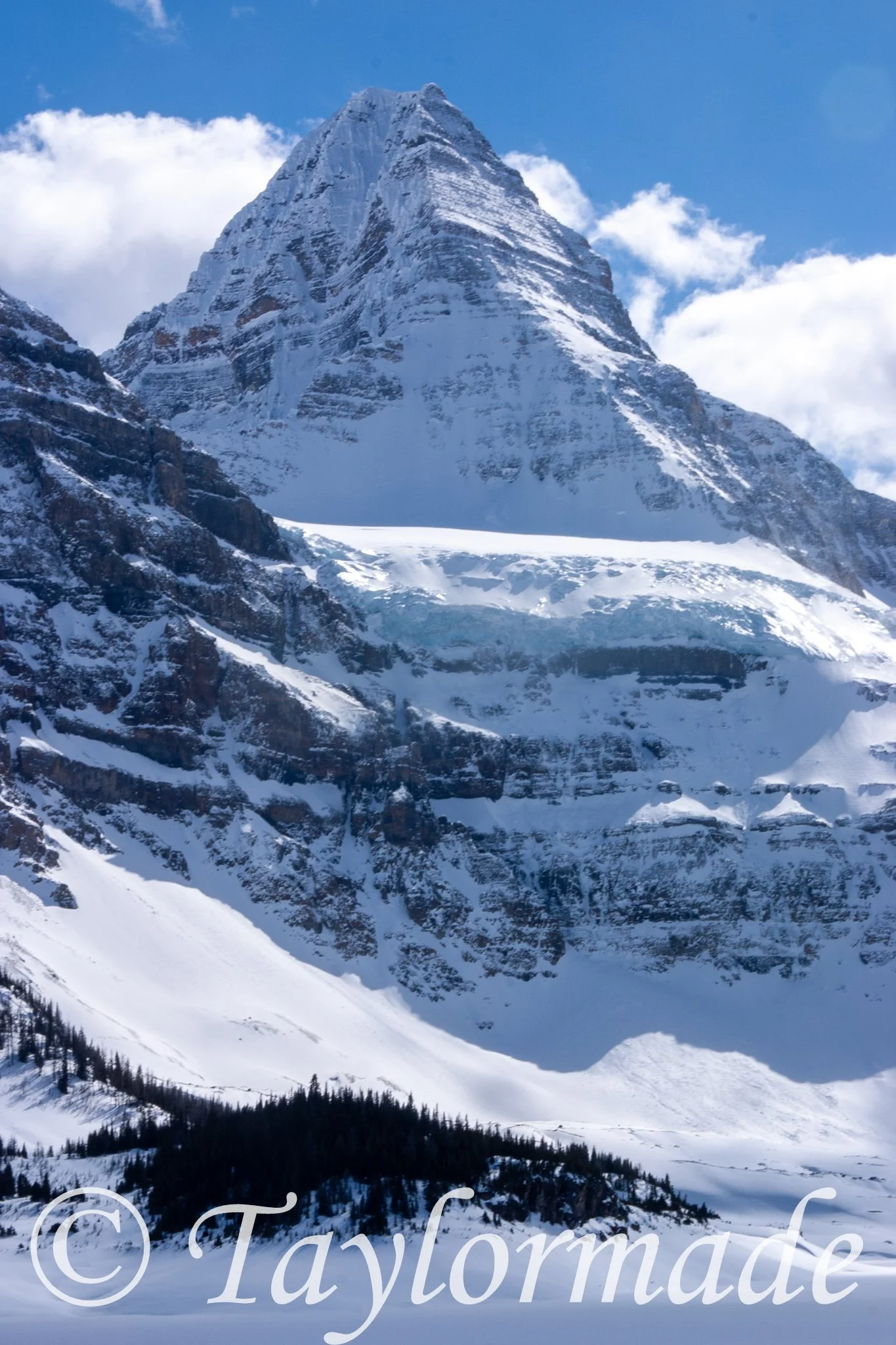 CRW_2742.jpg