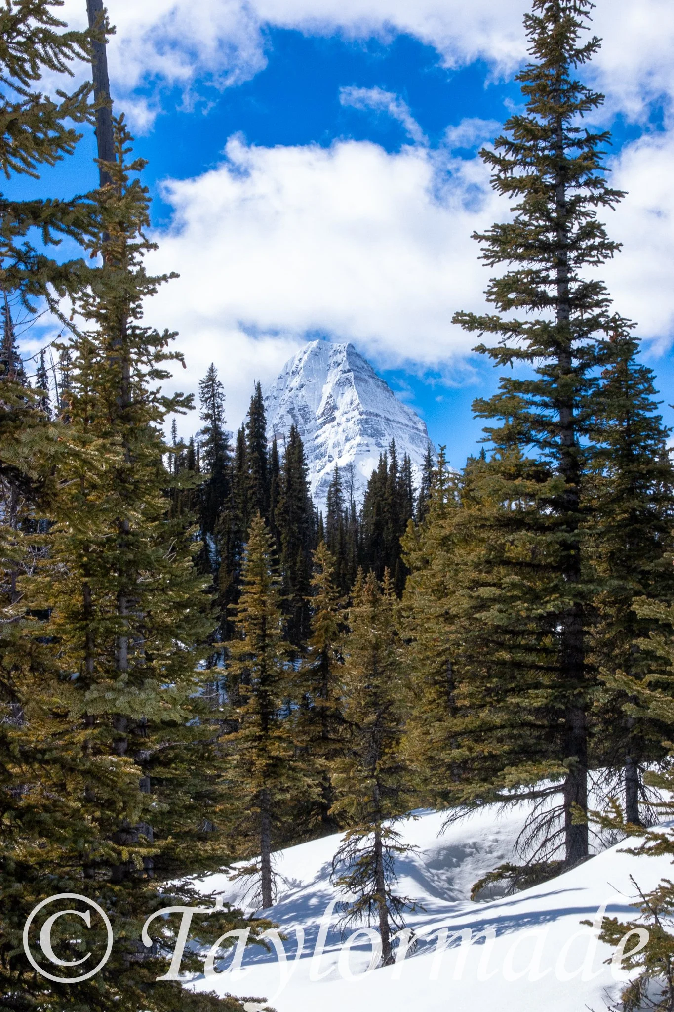 CRW_2715.jpg