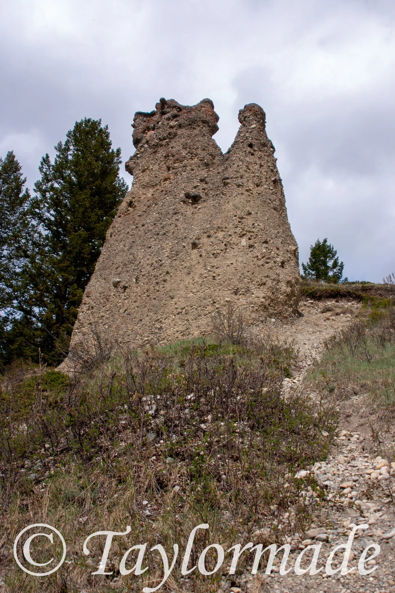 CRW_3436.jpg