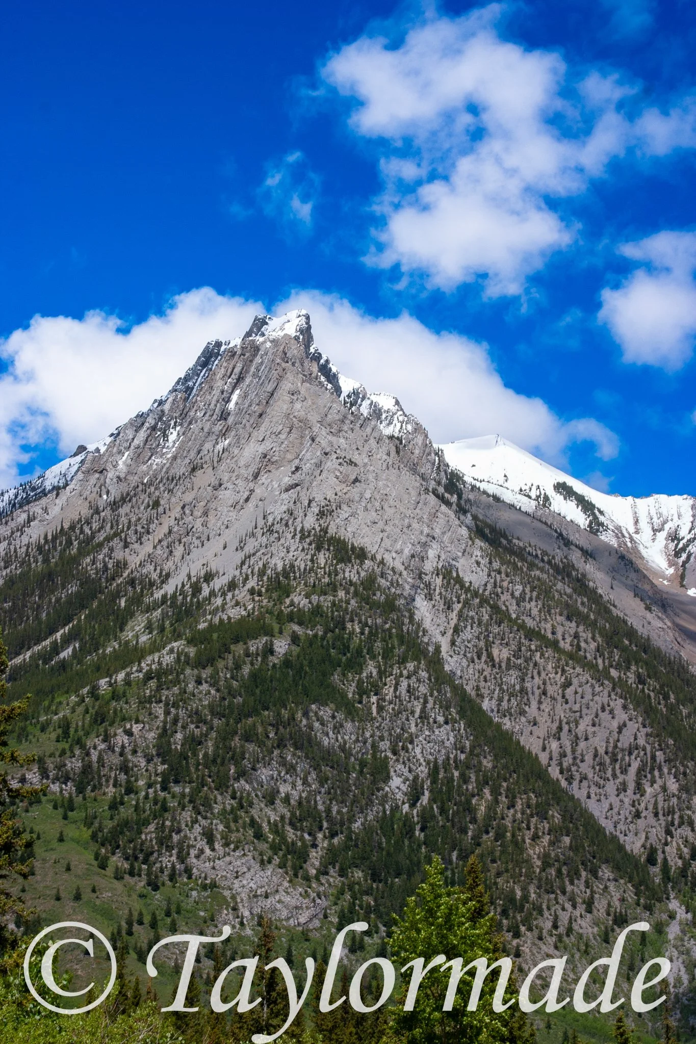 CRW_4338.jpg