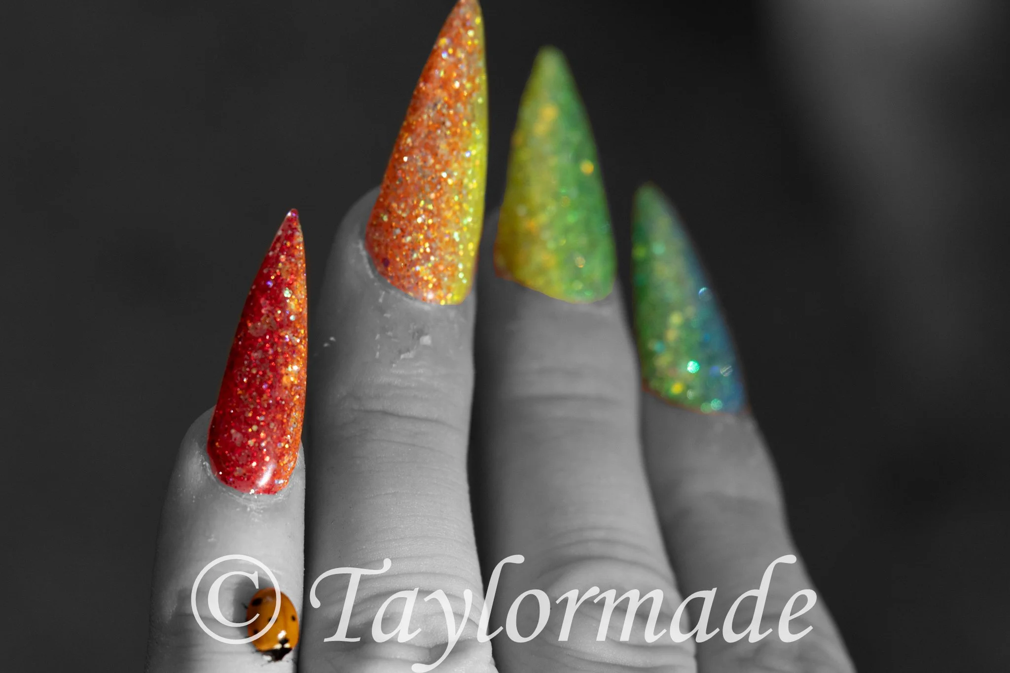 003A4115.jpg