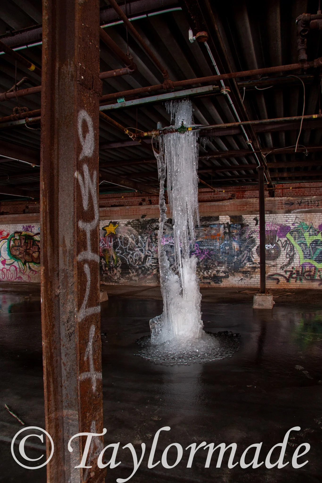 _mg_2468.jpg