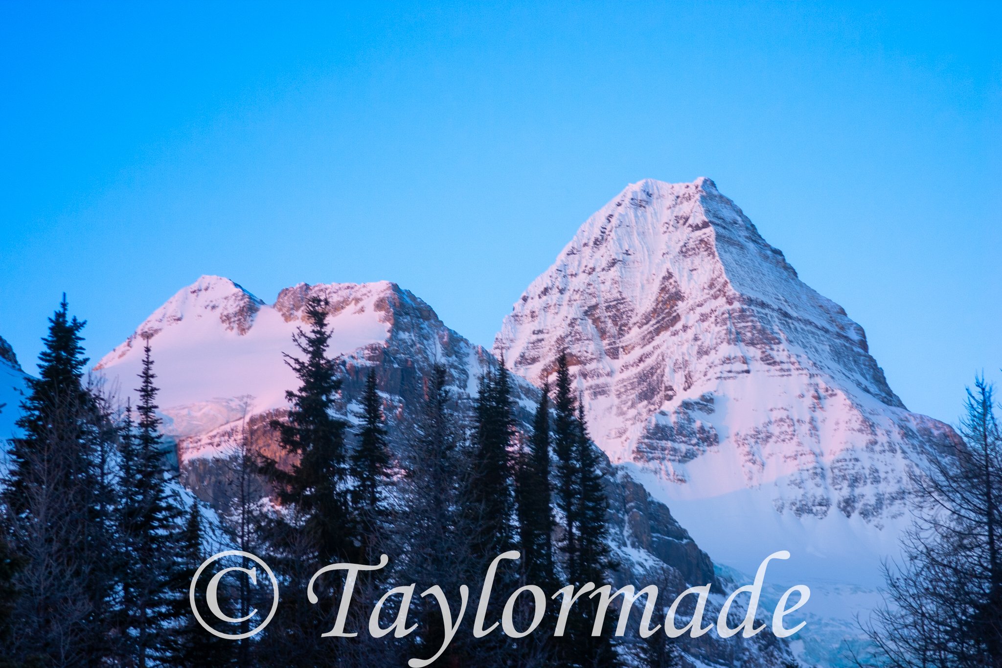 CRW_2777.jpg