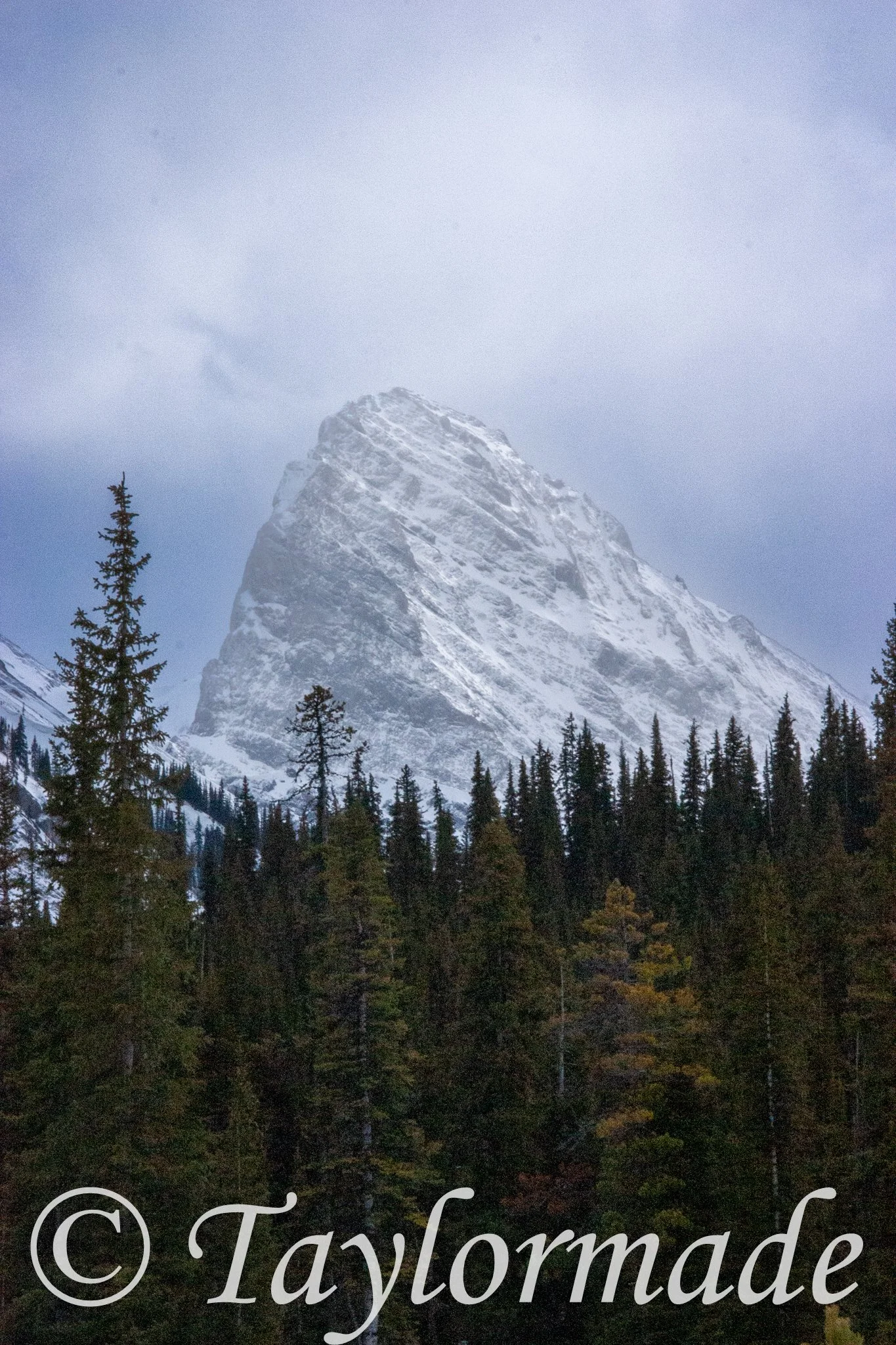 CRW_2208.jpg