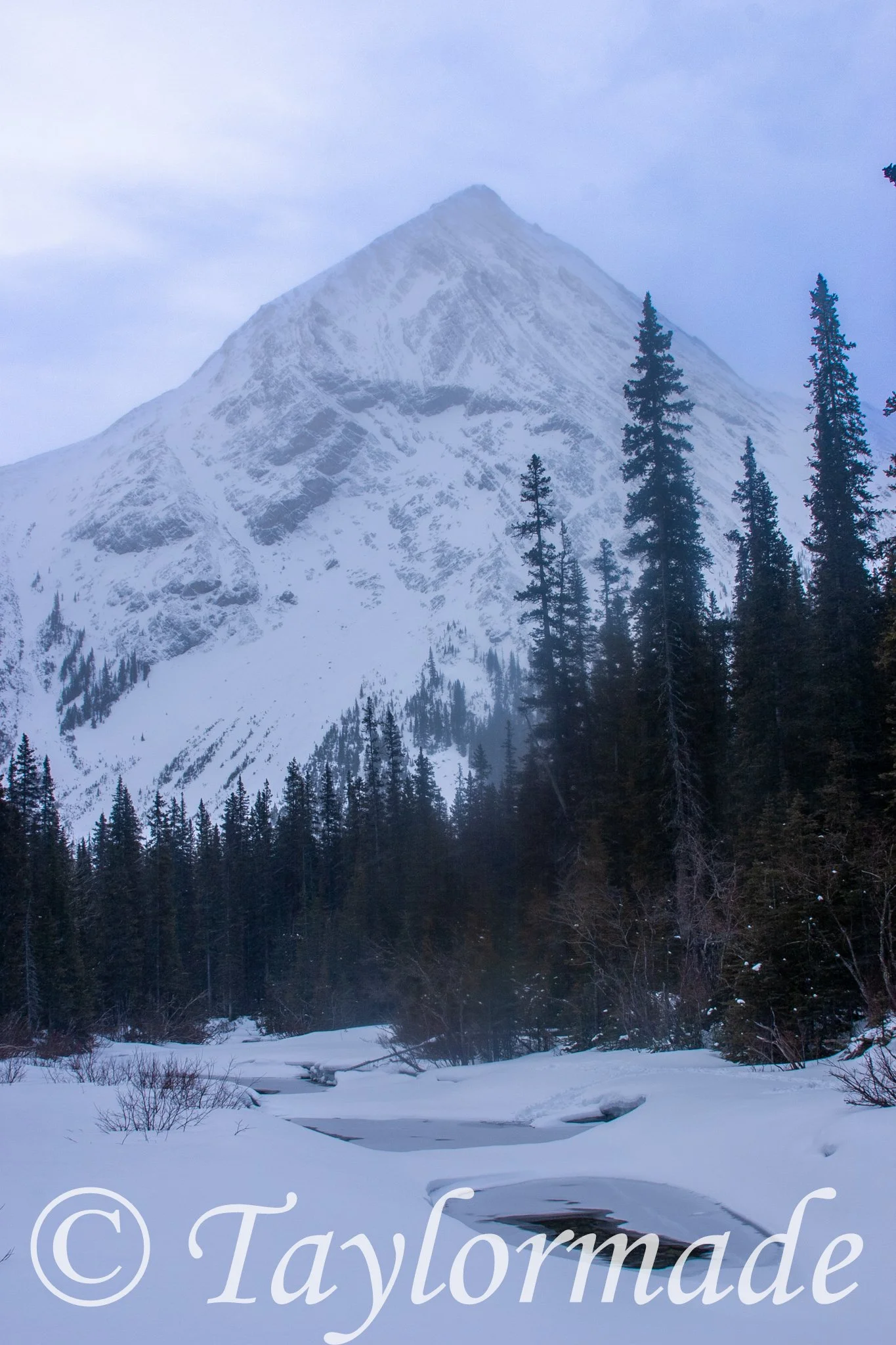 CRW_2322.jpg