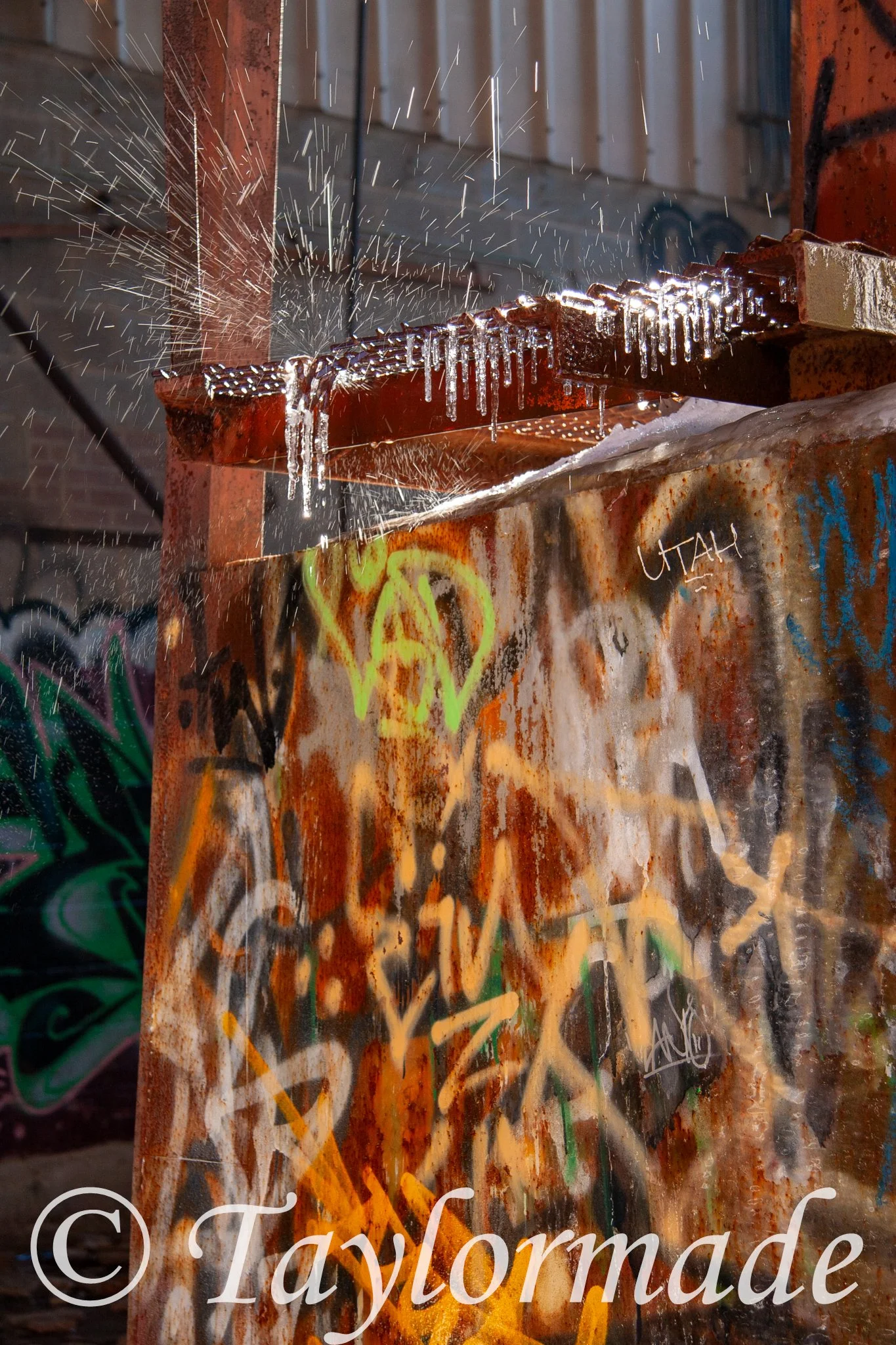 _mg_2529.jpg