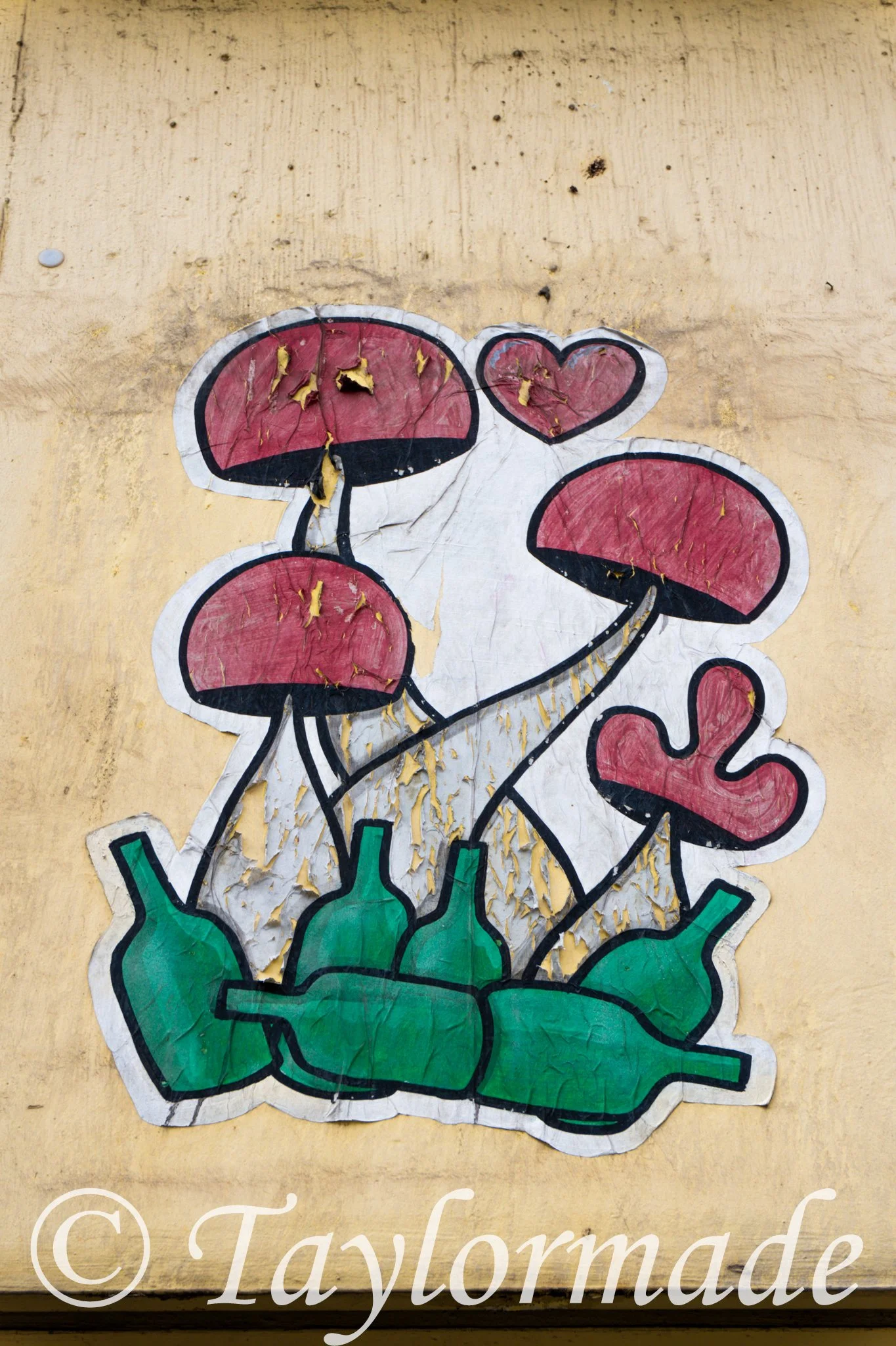 DSC01094.jpg