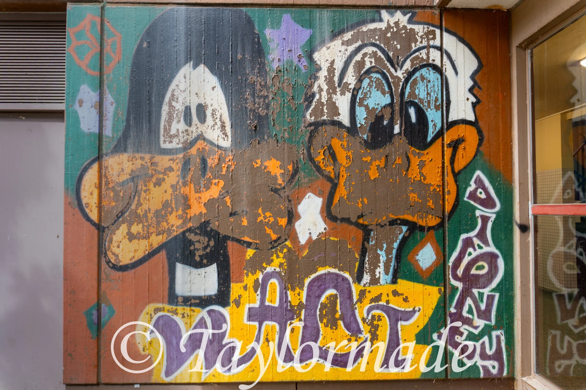 DSC01117.jpg