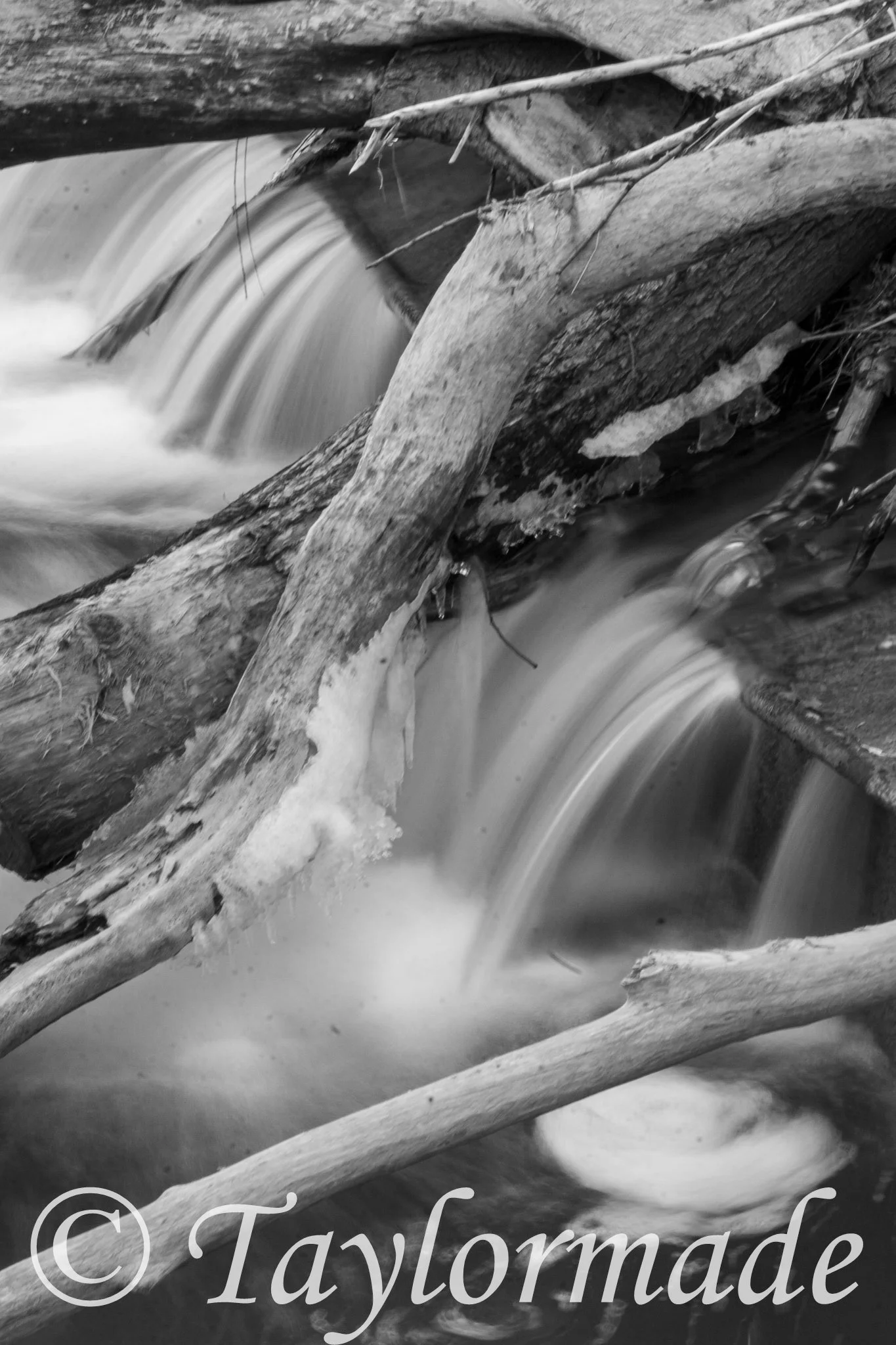 _MG_9717.jpg