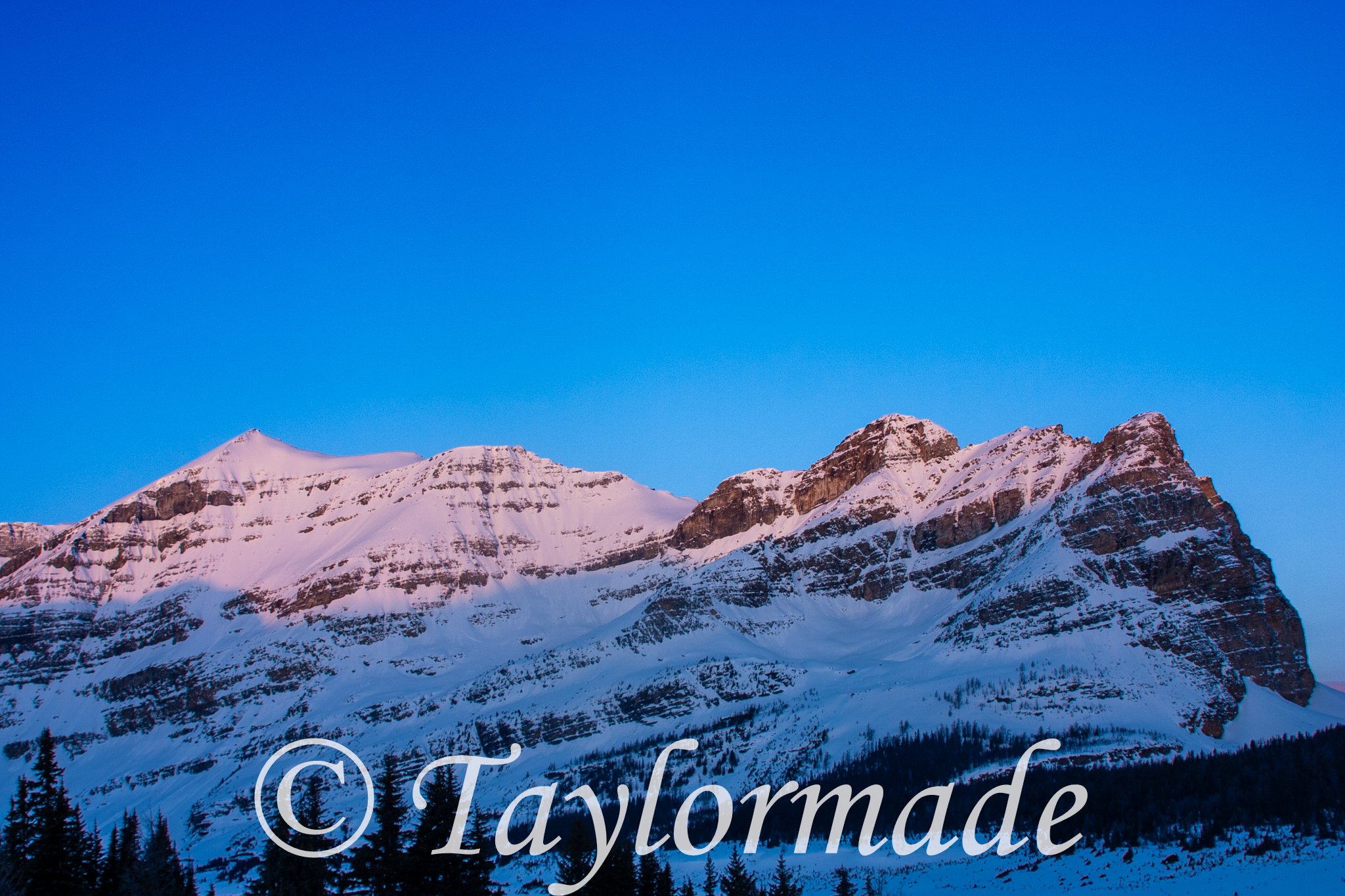 CRW_2783.jpg