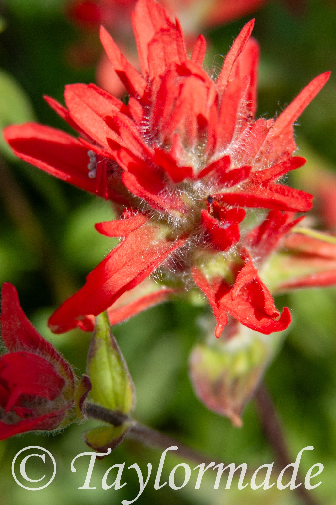 CRW_5050.jpg
