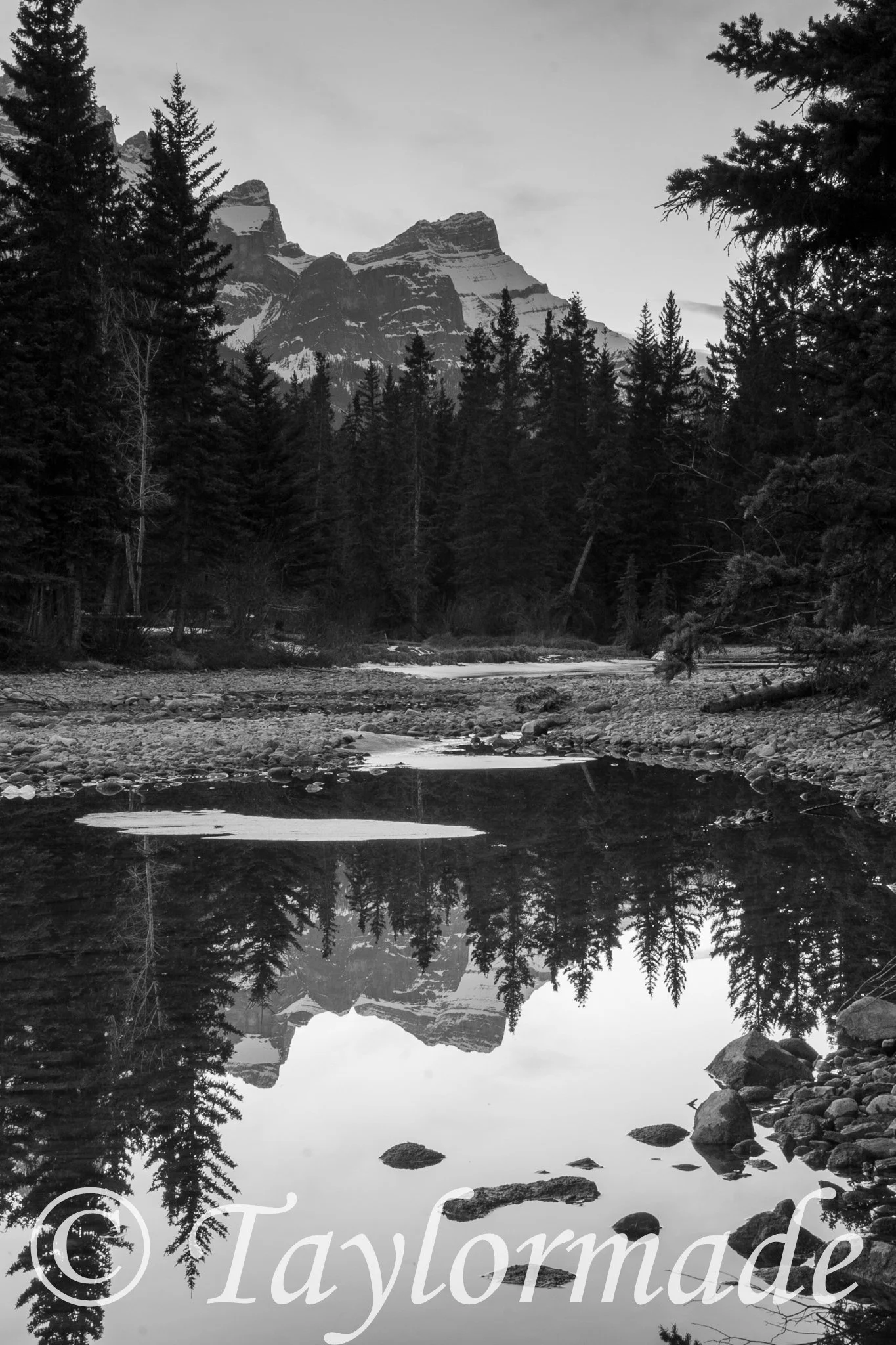 CRW_1895.jpg