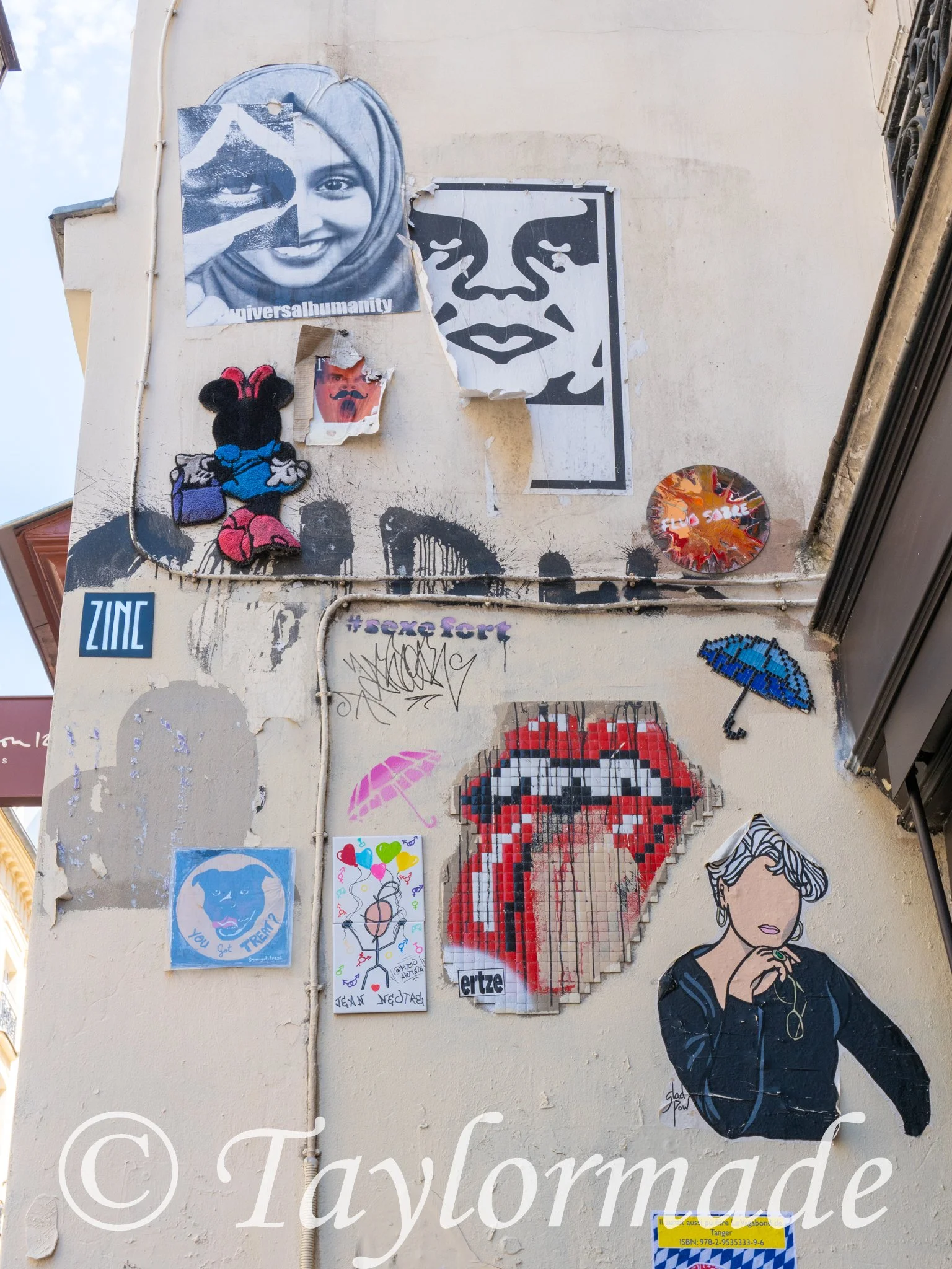 DSC00565.jpg