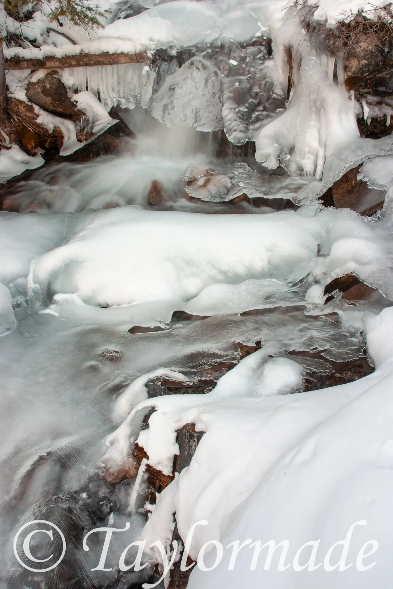 CRW_1705.jpg
