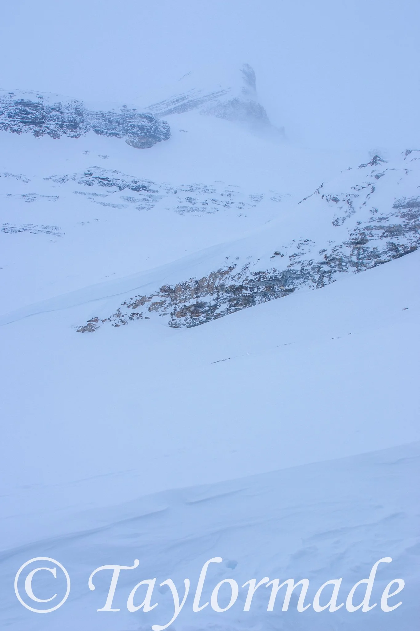CRW_2443.jpg