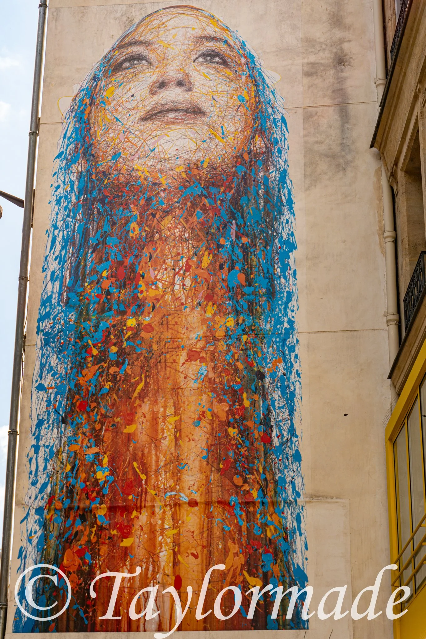DSC01018.jpg