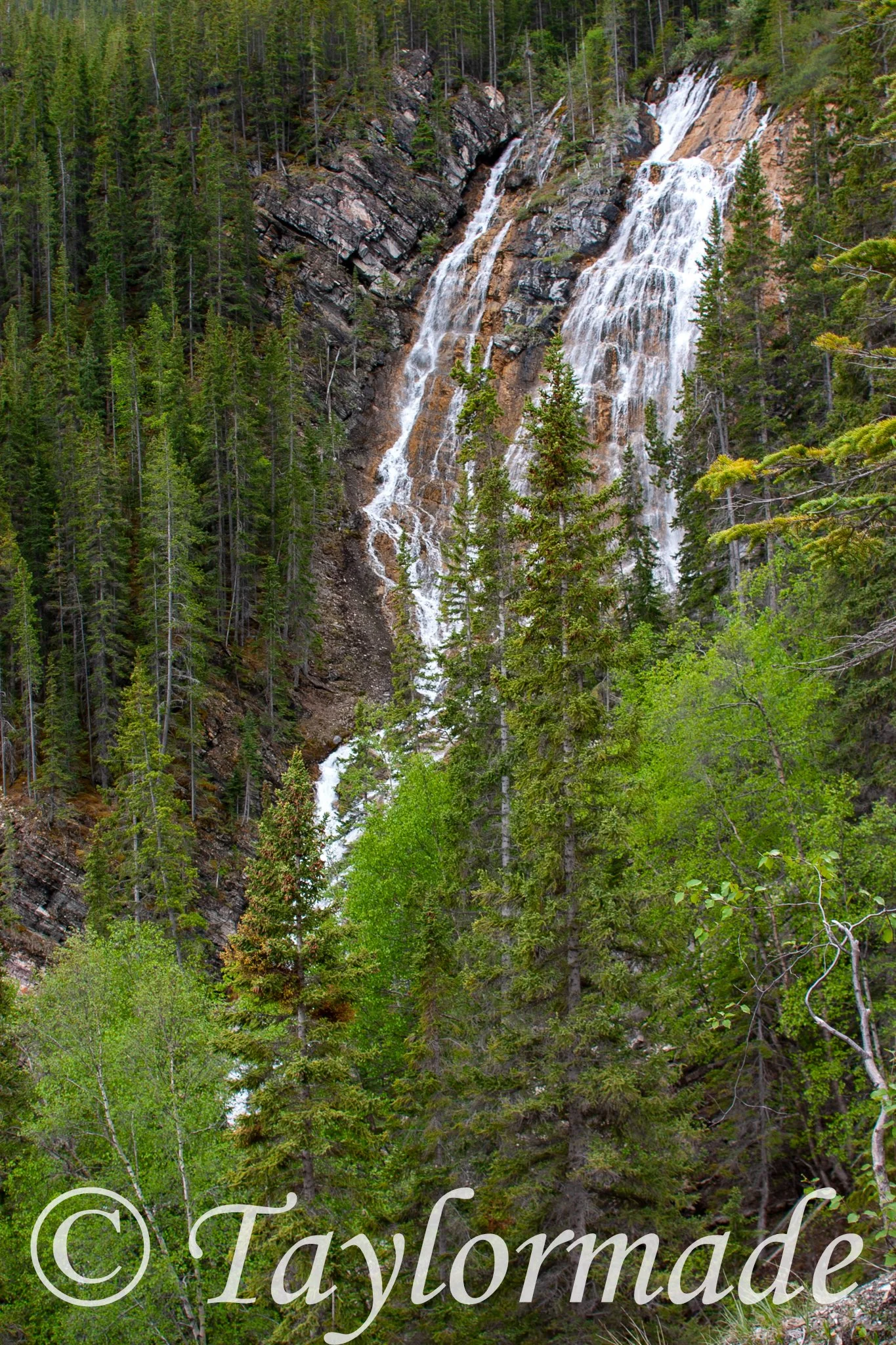 CRW_3925.jpg