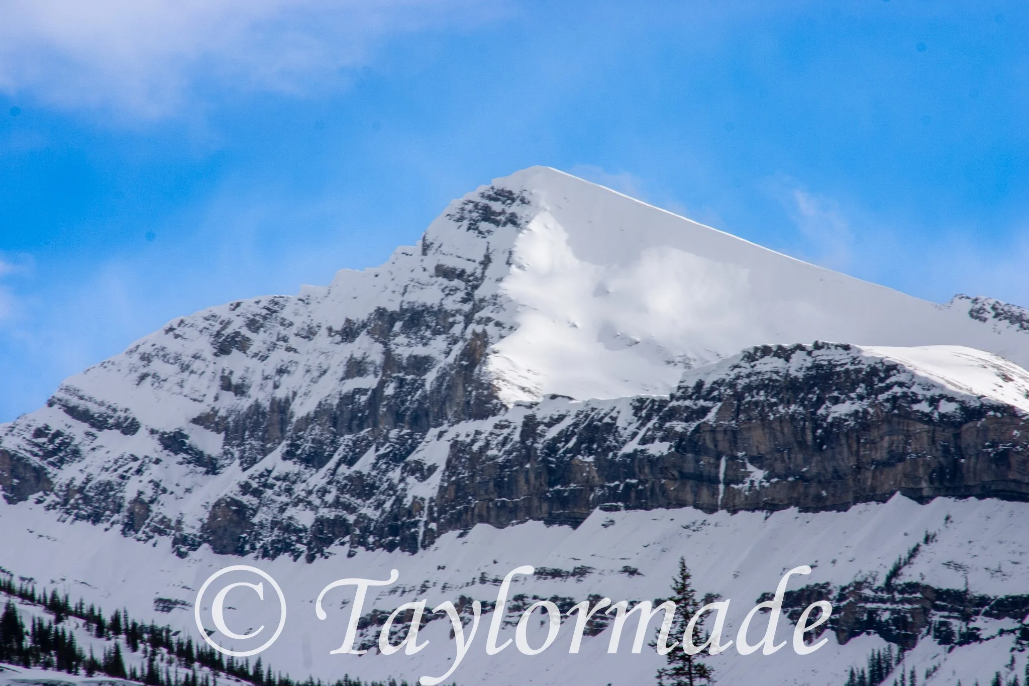 CRW_2690.jpg