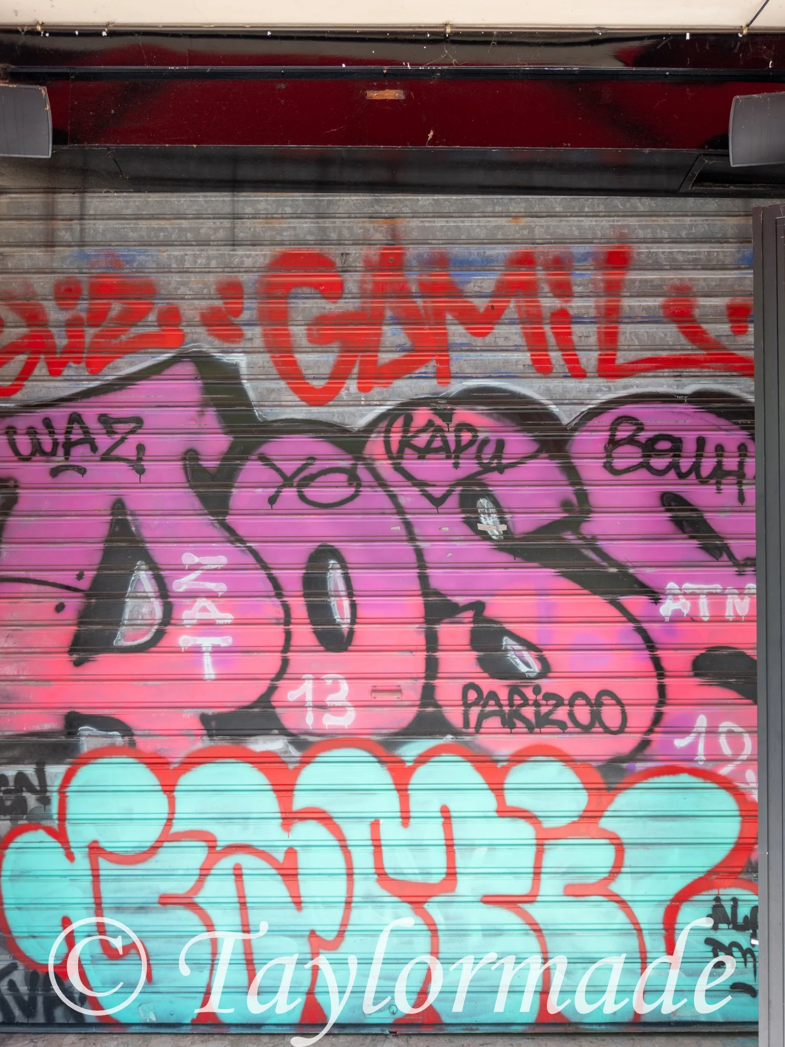 DSC00485.jpg