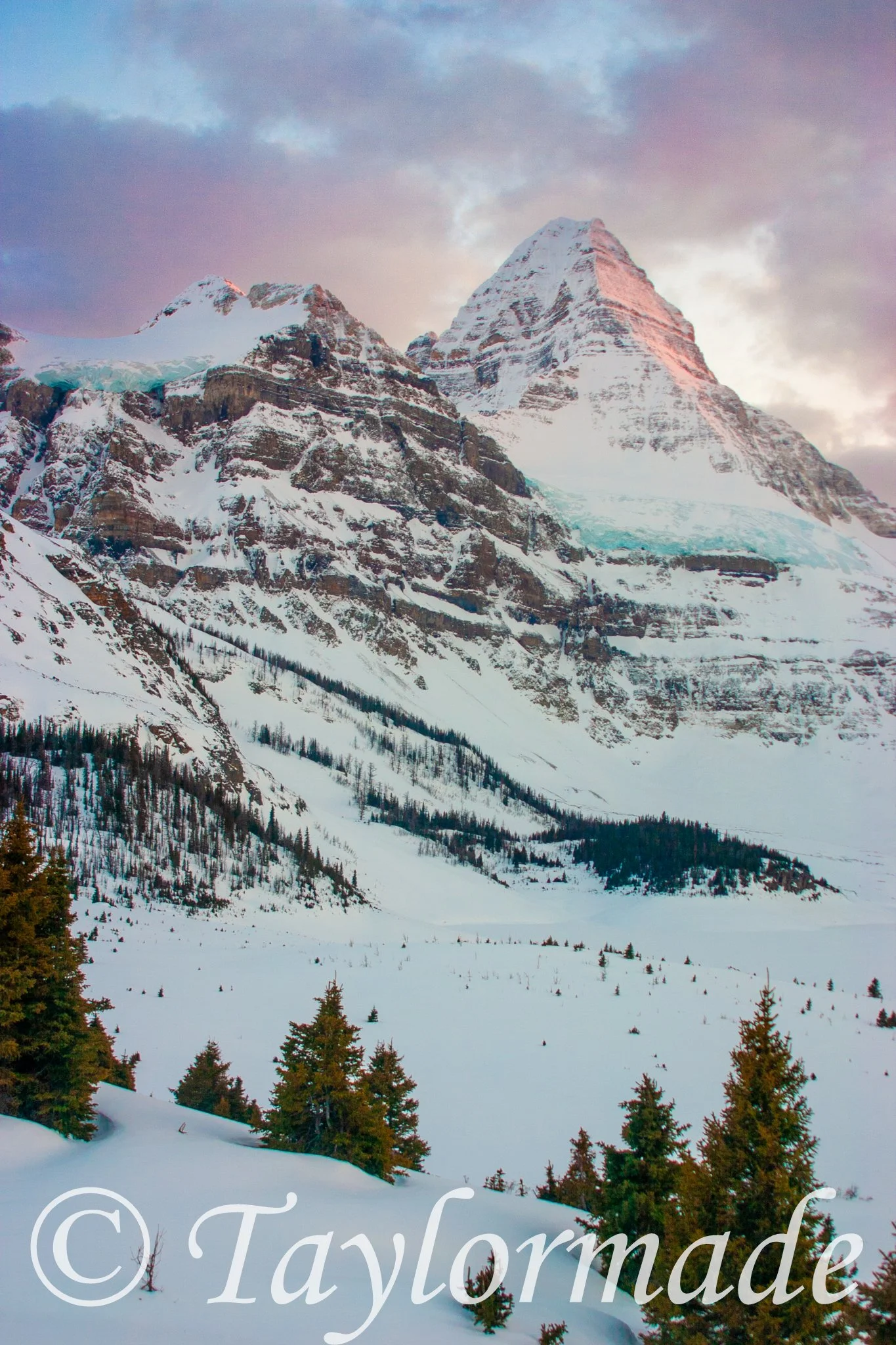 CRW_2770.jpg