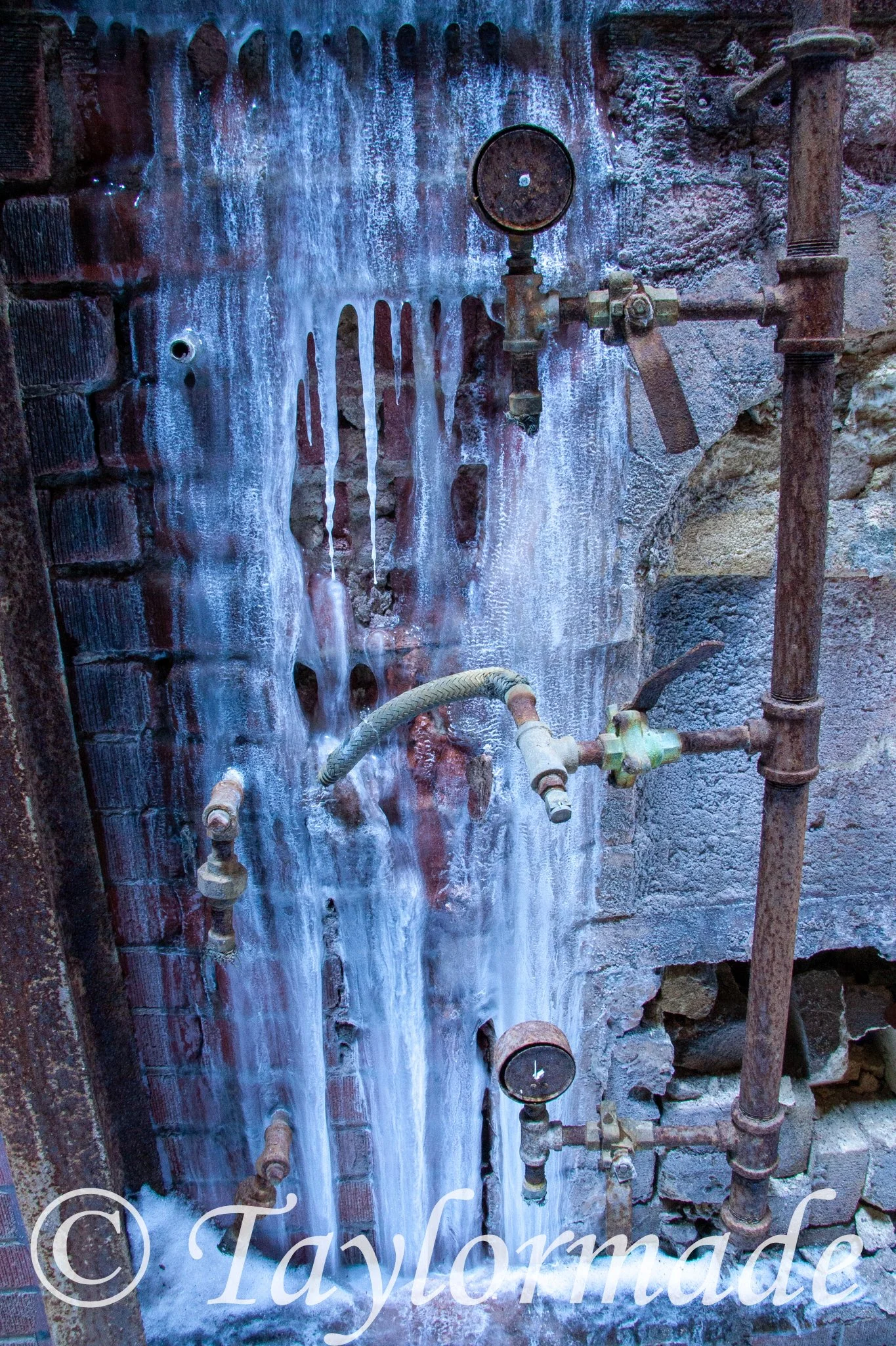 _mg_2383.jpg
