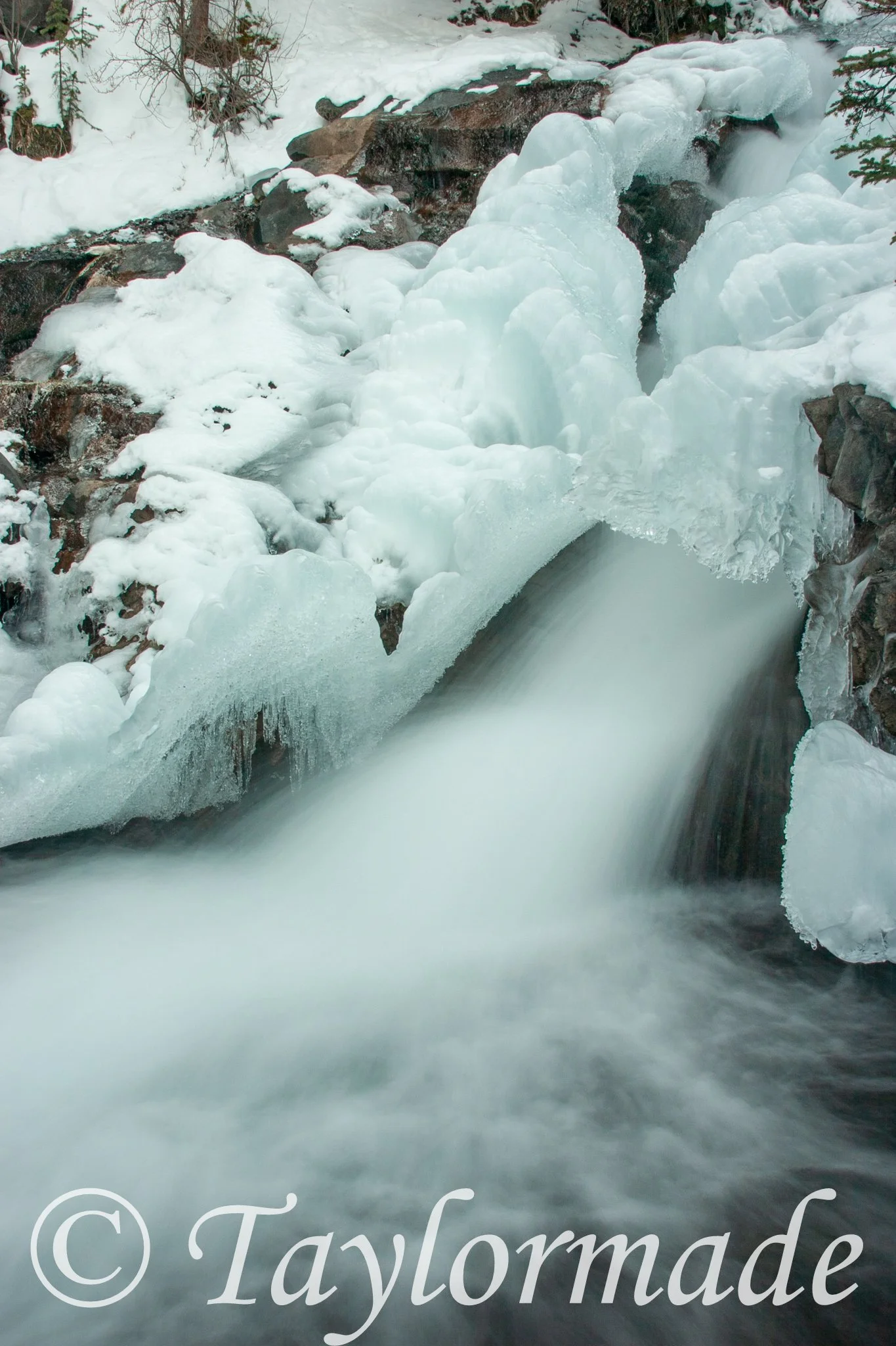 CRW_1606.jpg