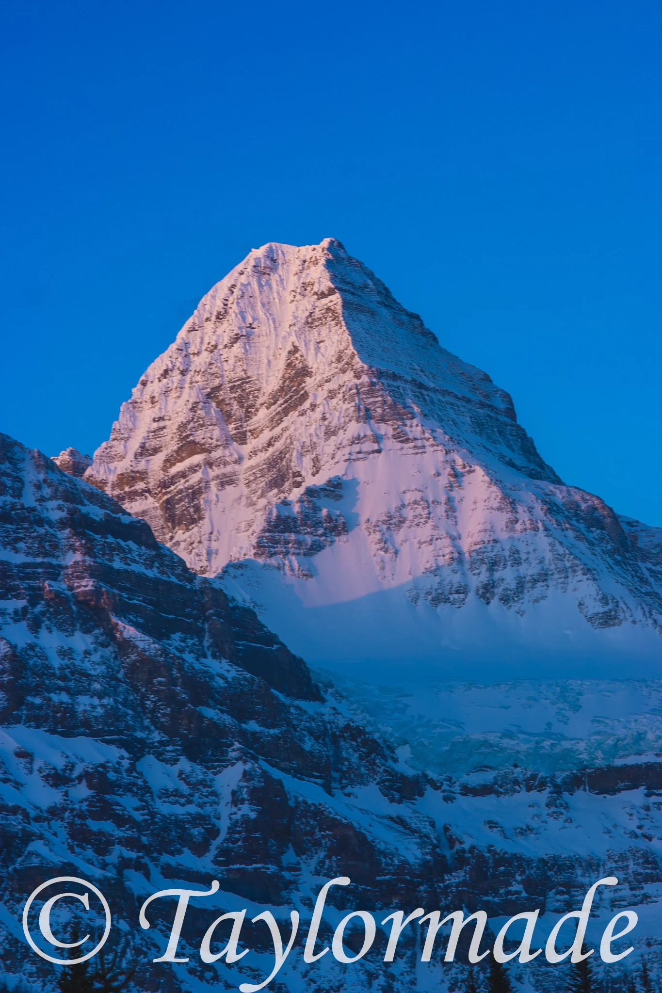 CRW_2779.jpg