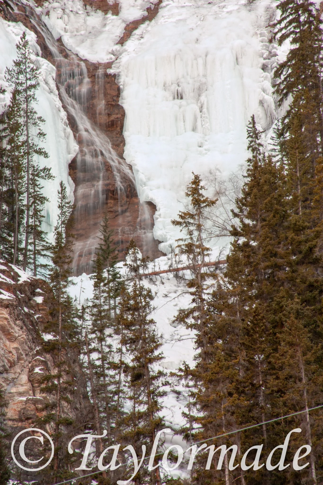 CRW_1716.jpg