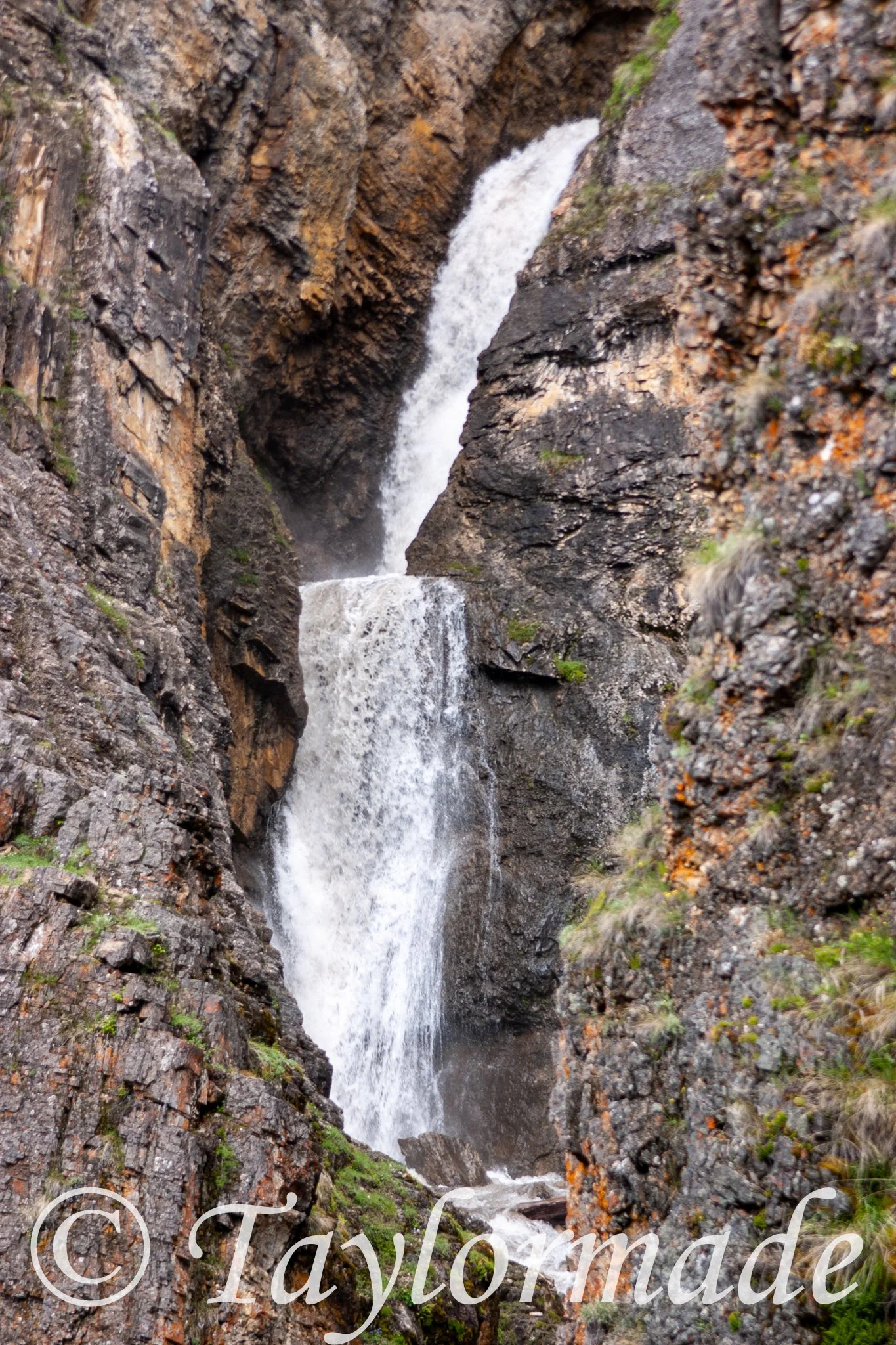 CRW_4374.jpg
