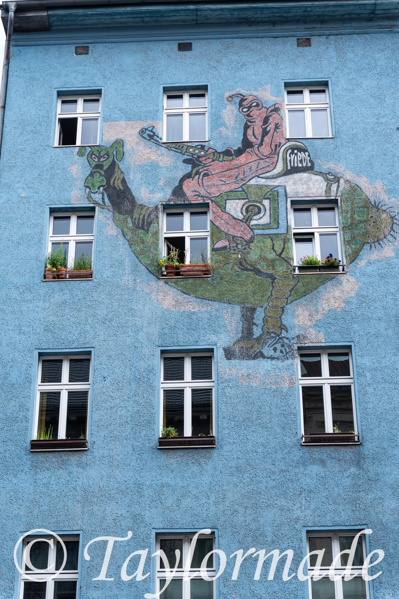 DSC01089.jpg