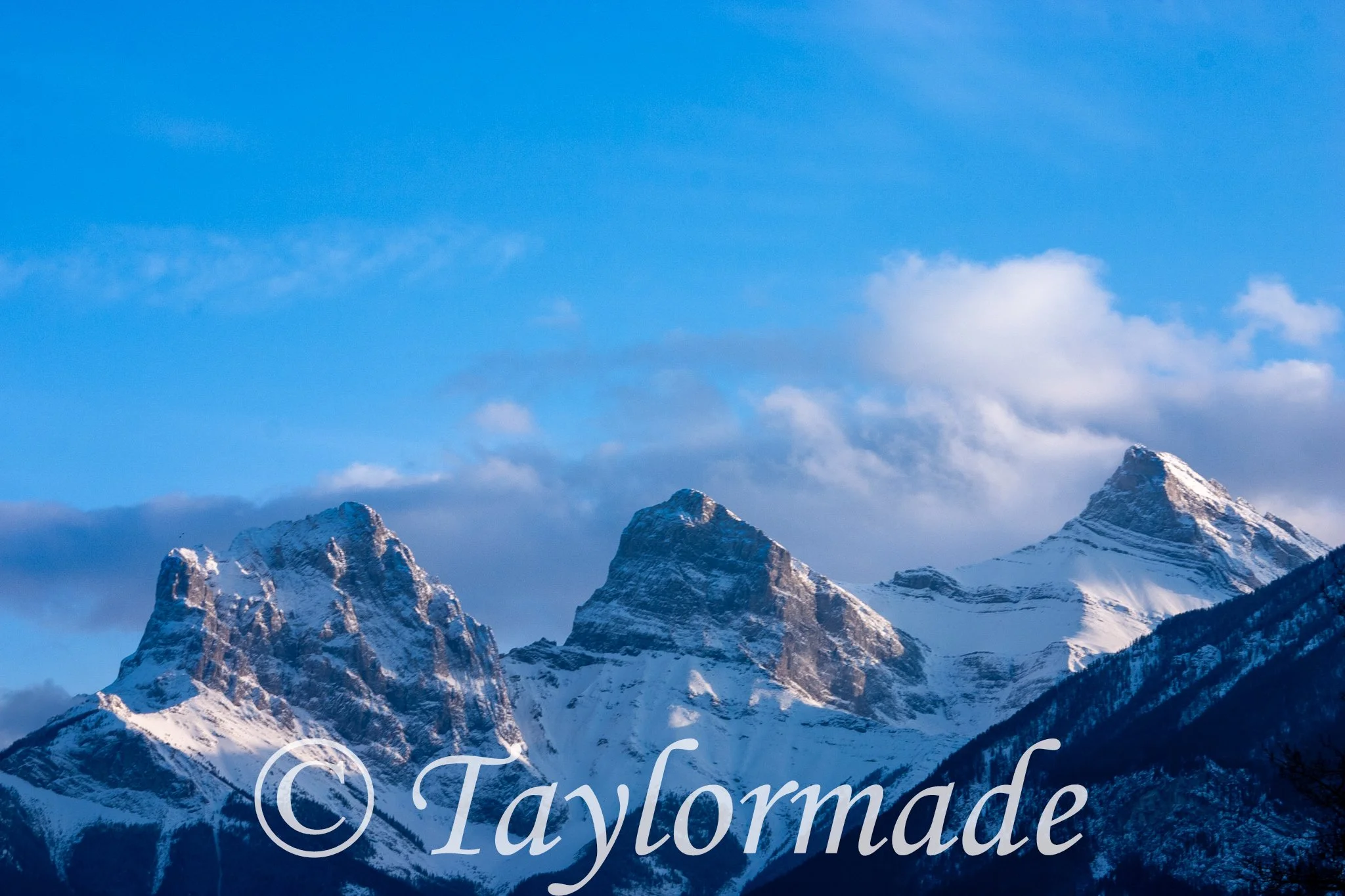 CRW_2239.jpg