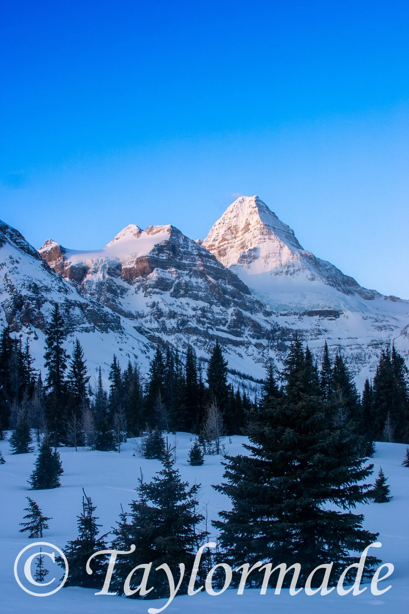 CRW_2782.jpg