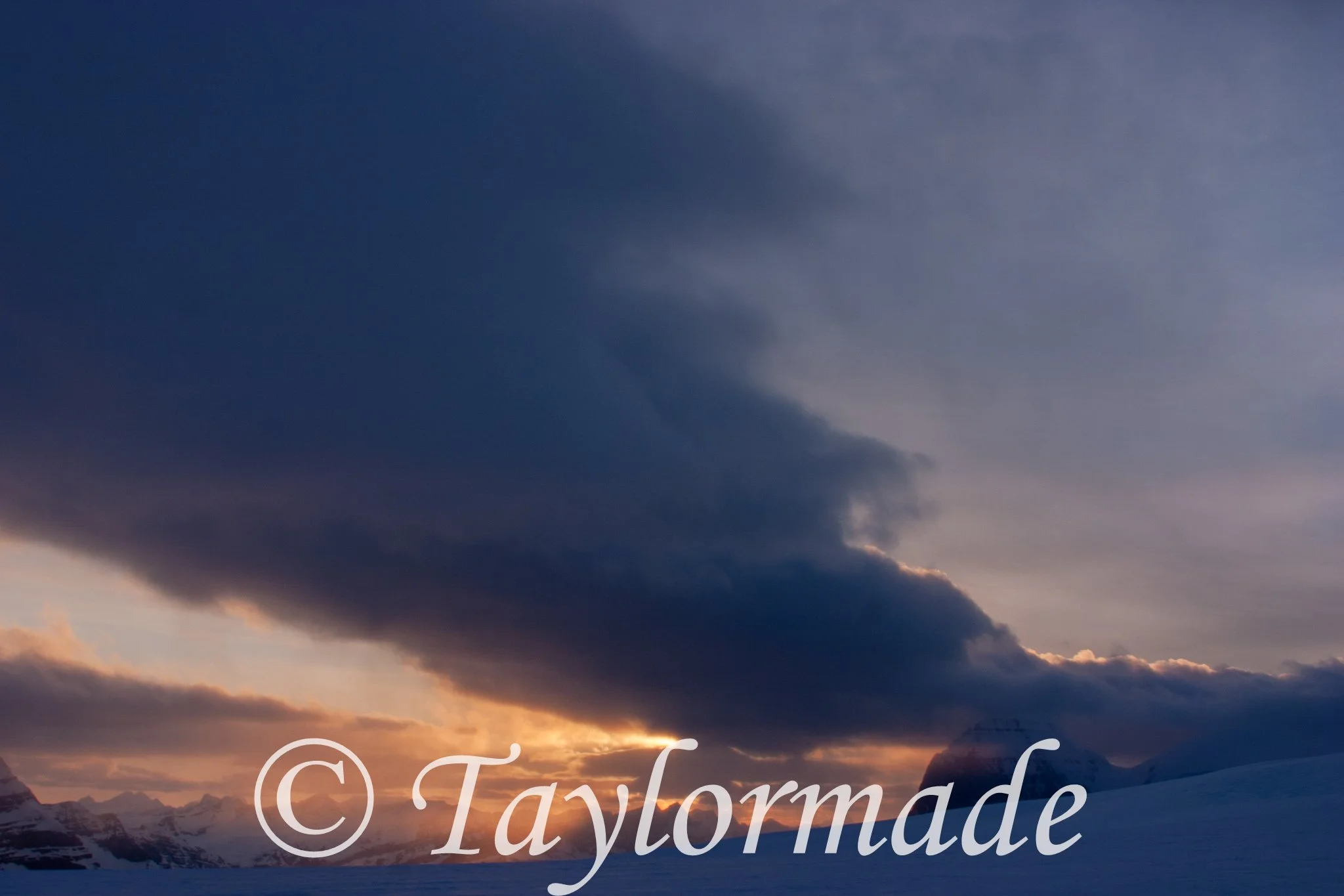 CRW_3131.jpg