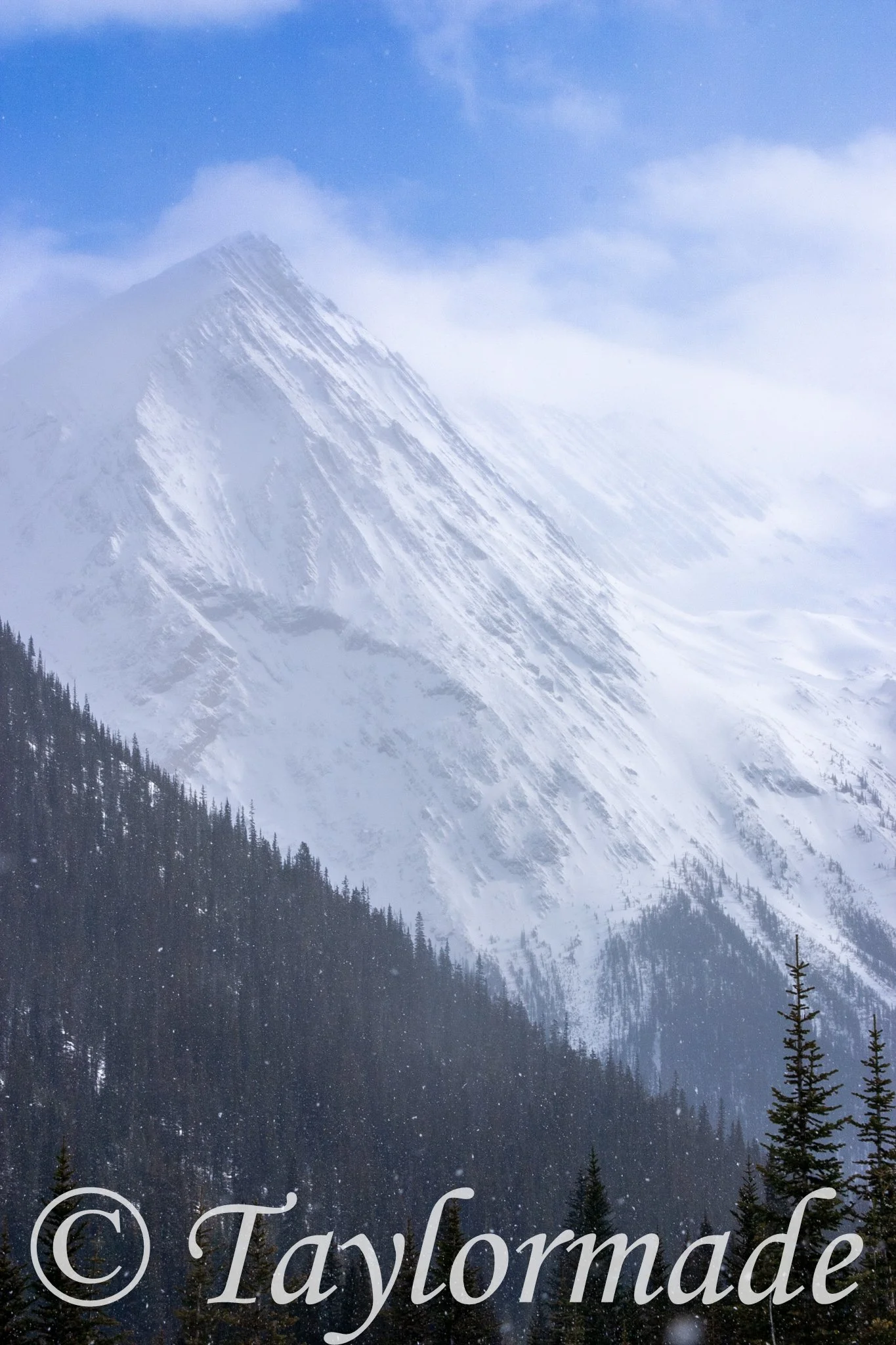 CRW_2315.jpg