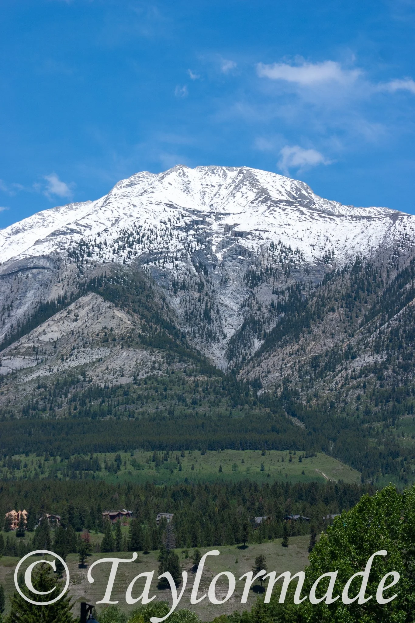 CRW_4469.jpg