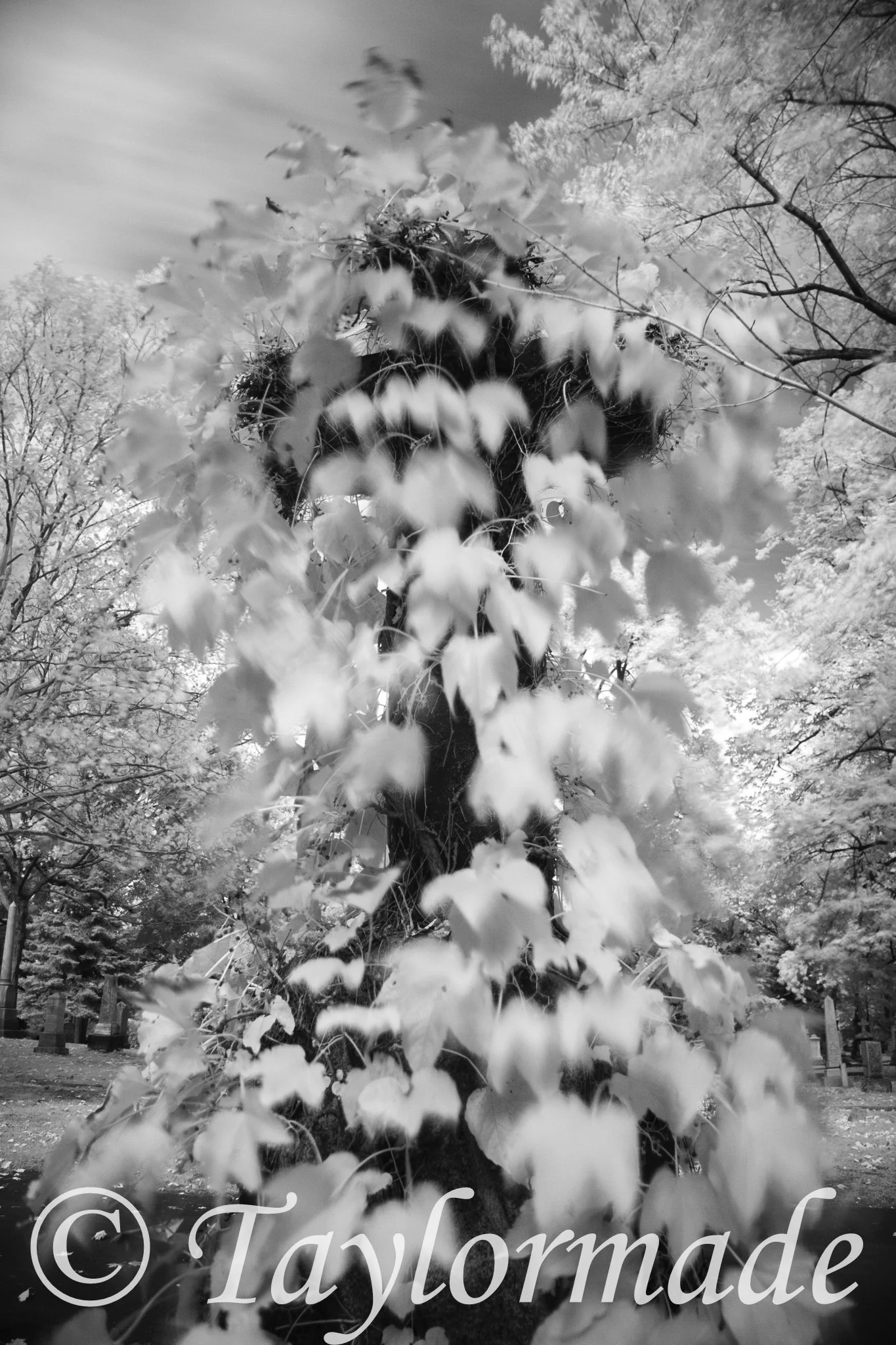_mg_1740.jpg
