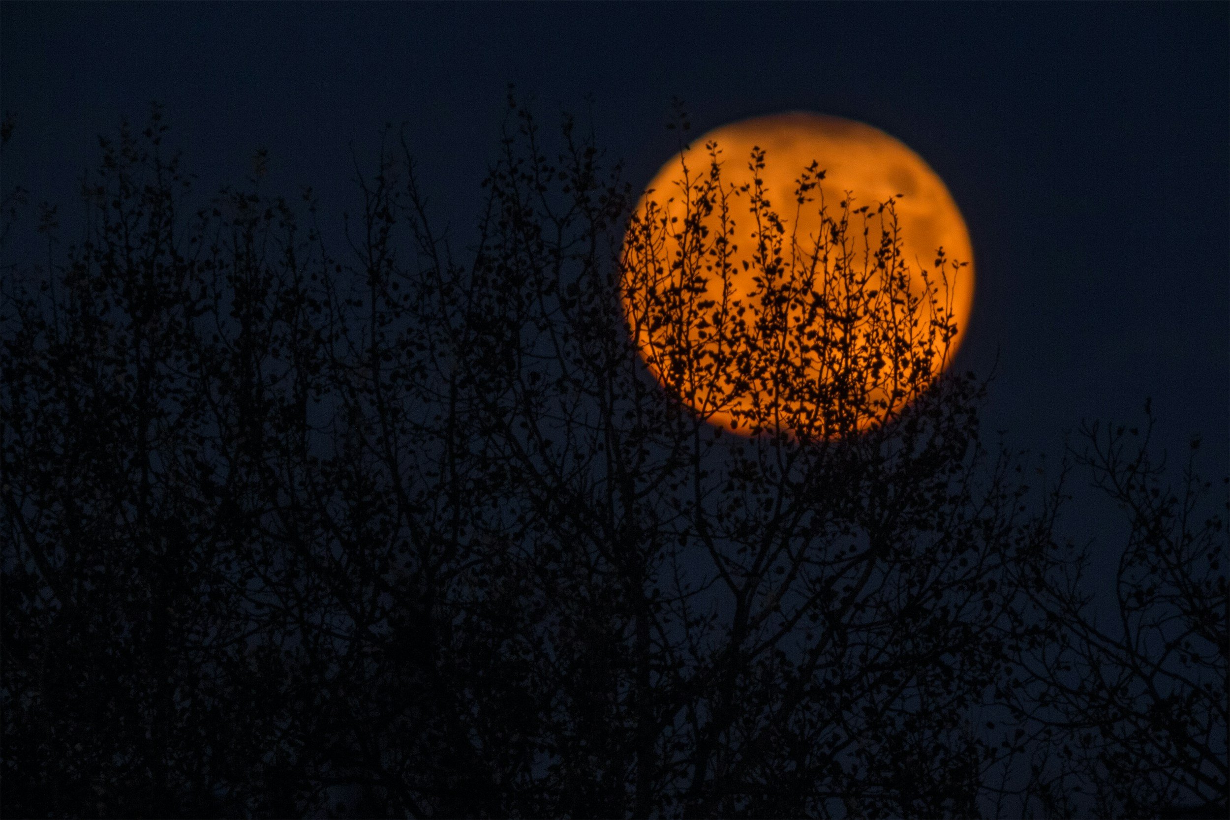Spooky, Scary Stuff: Episode 81