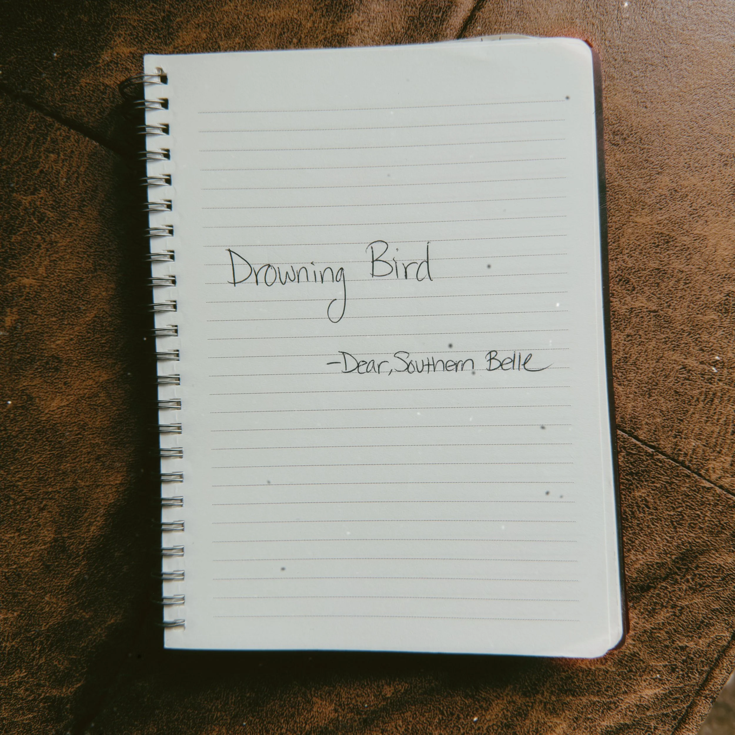 Drowning Bird (Acoustic) - July 2025